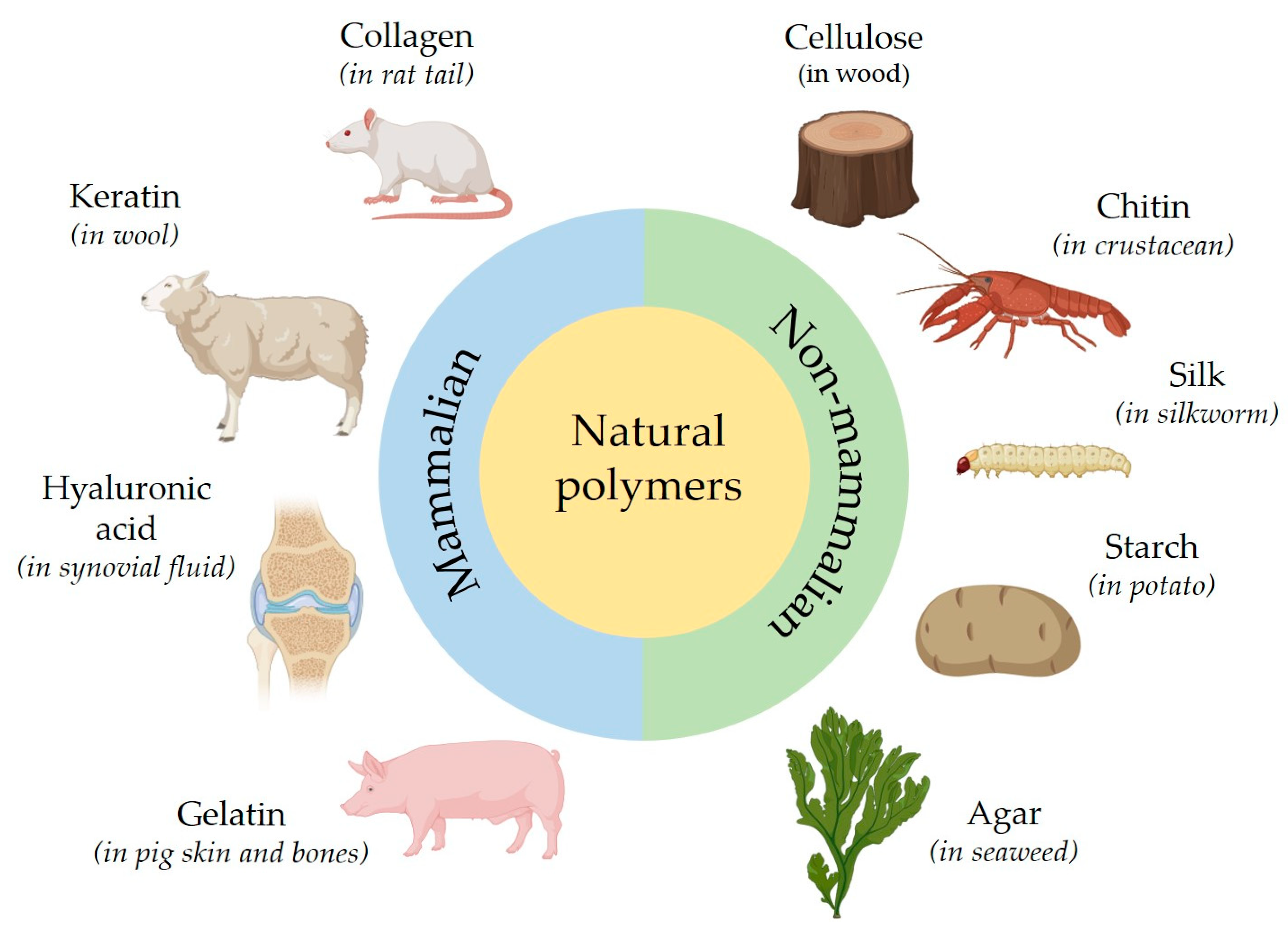 Photochem 05 00034 g006