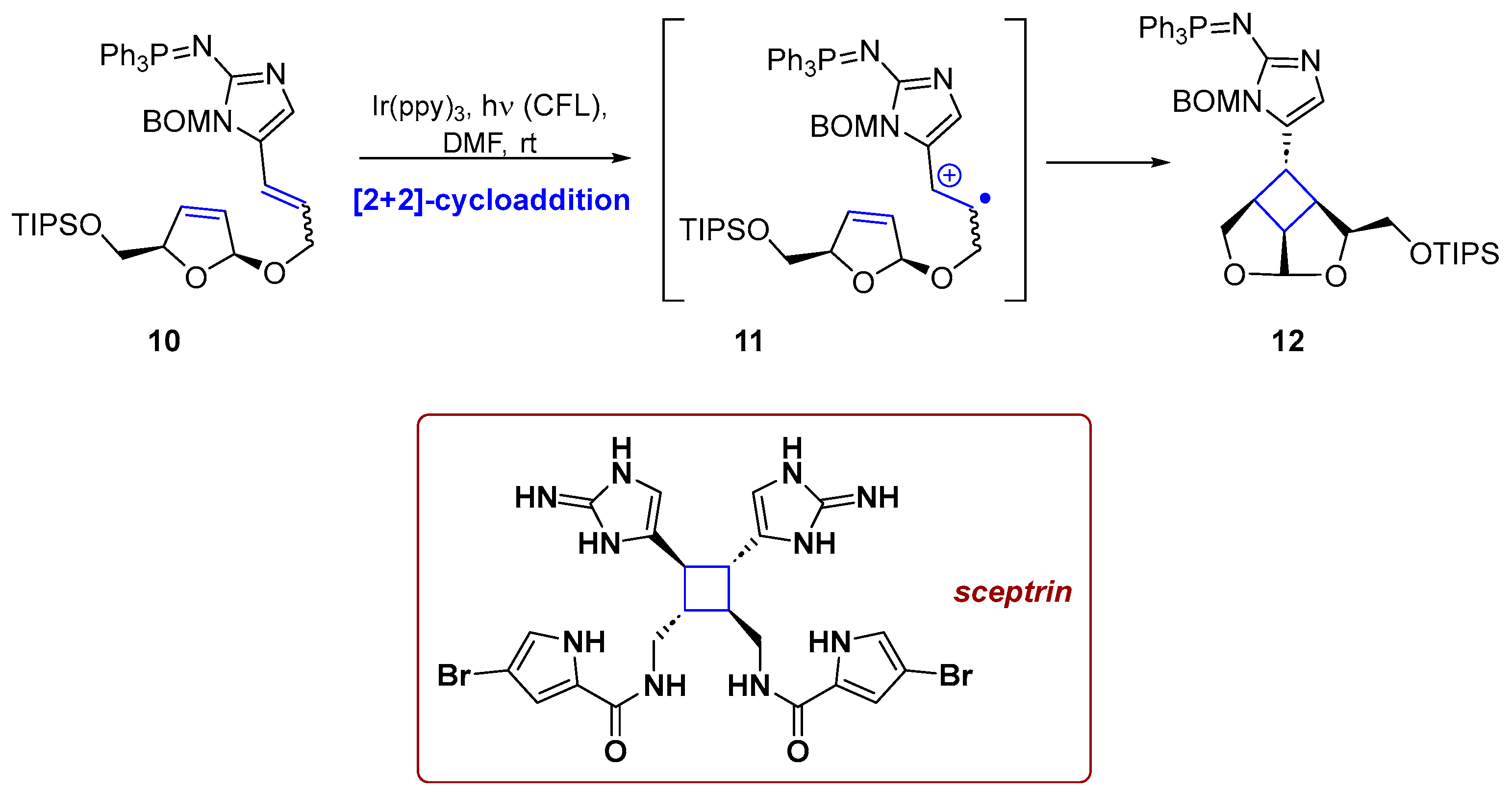 Photochem 06 00005 sch005