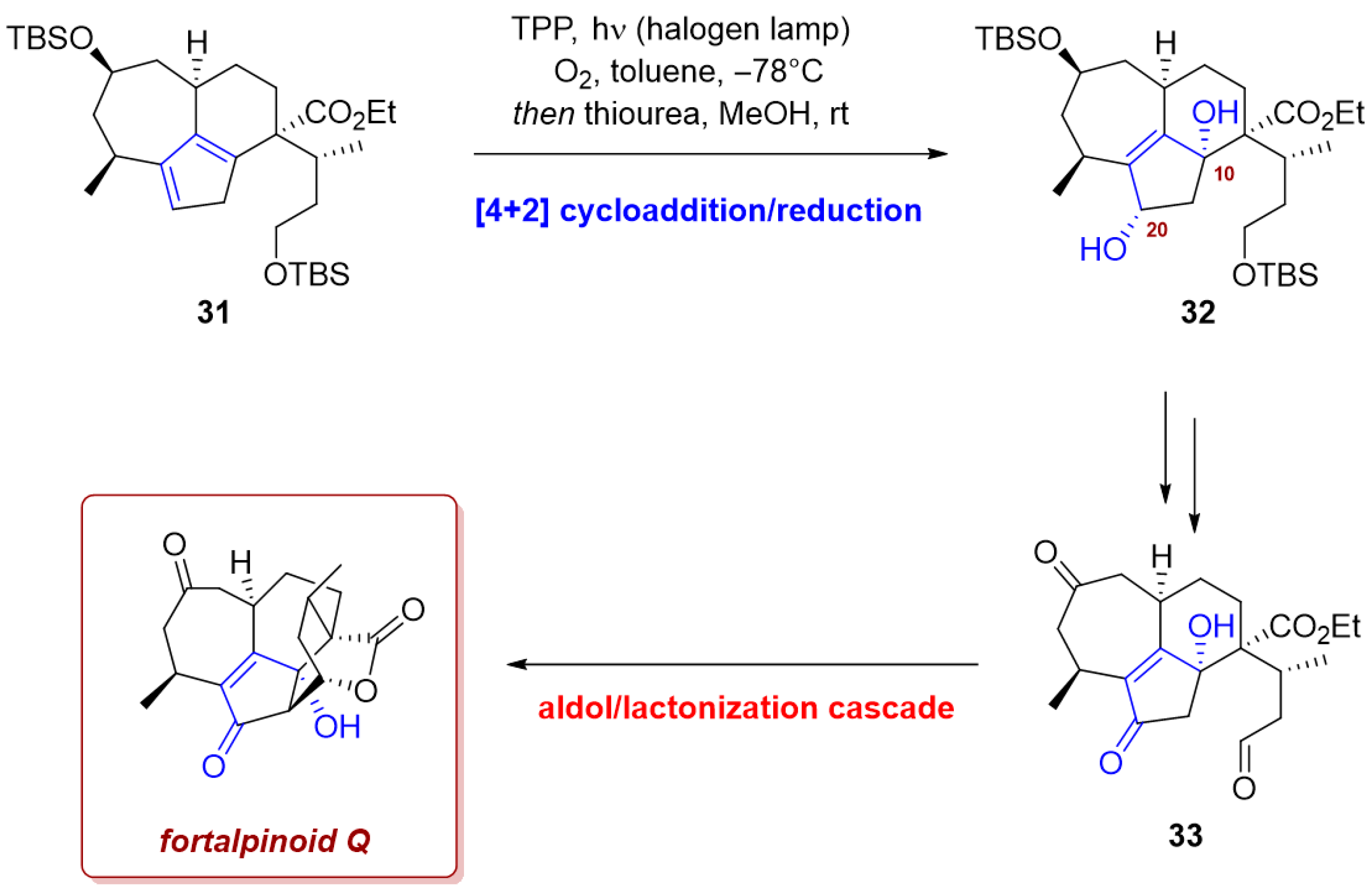 Photochem 06 00005 sch012