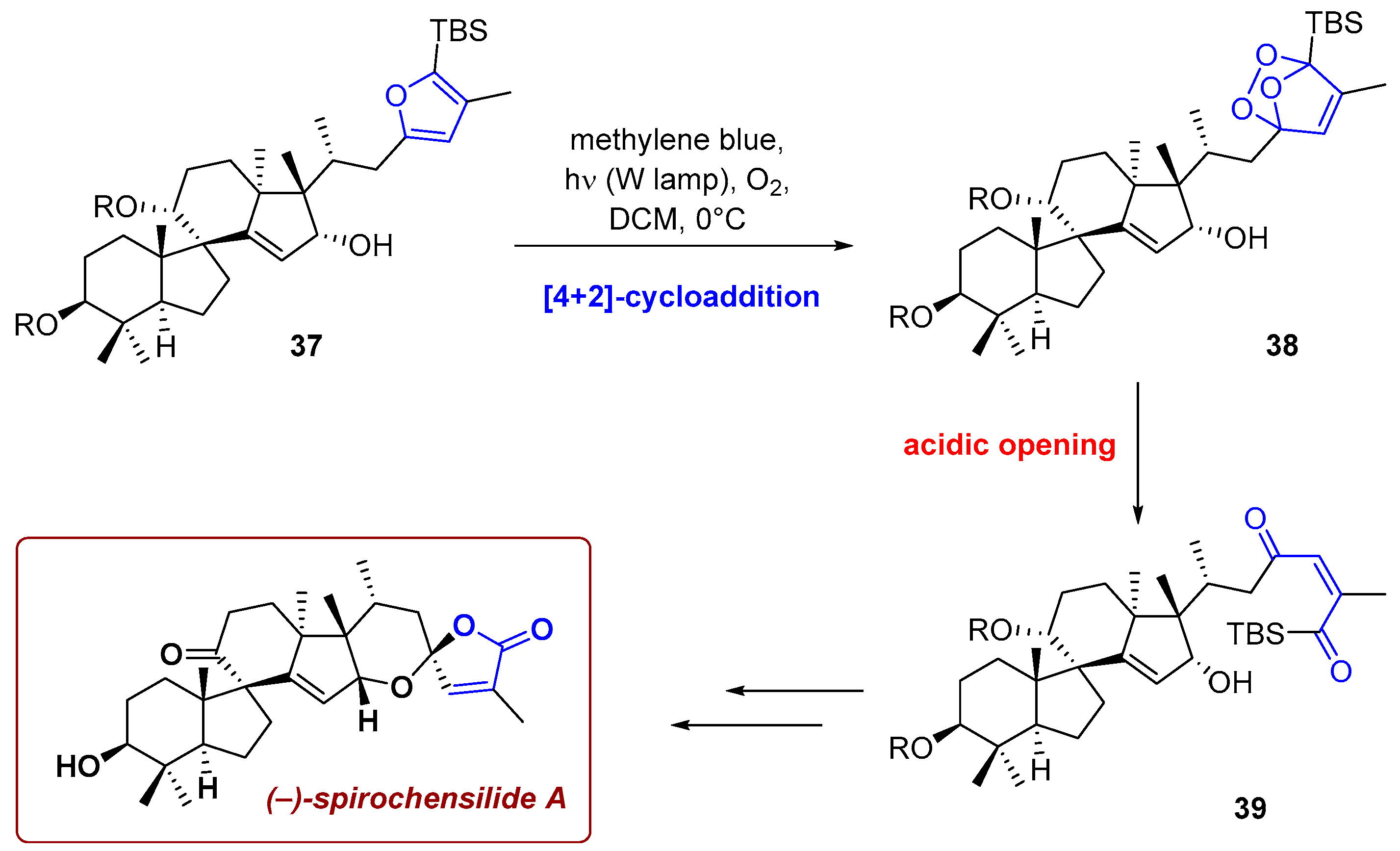 Photochem 06 00005 sch014