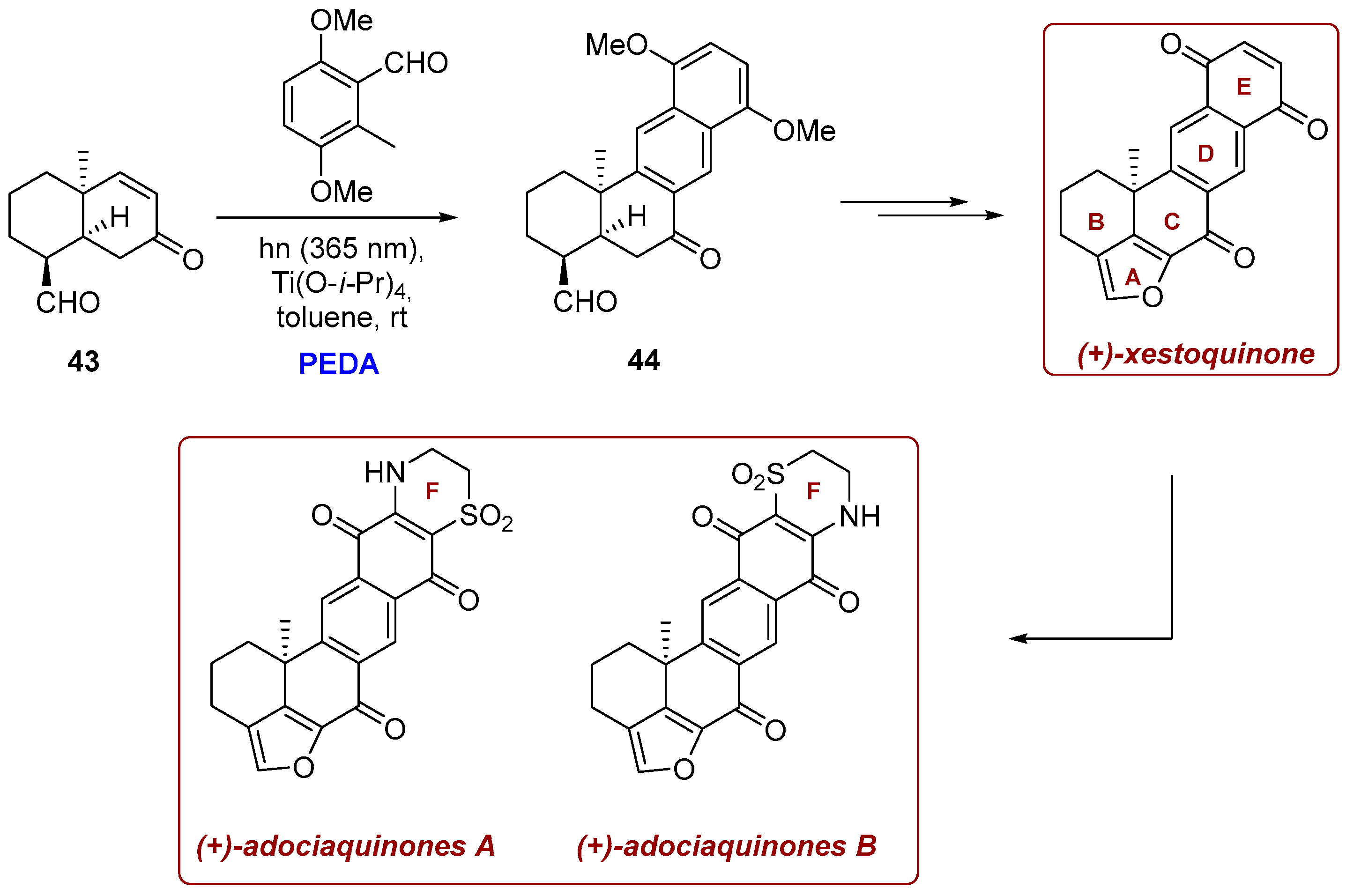 Photochem 06 00005 sch017