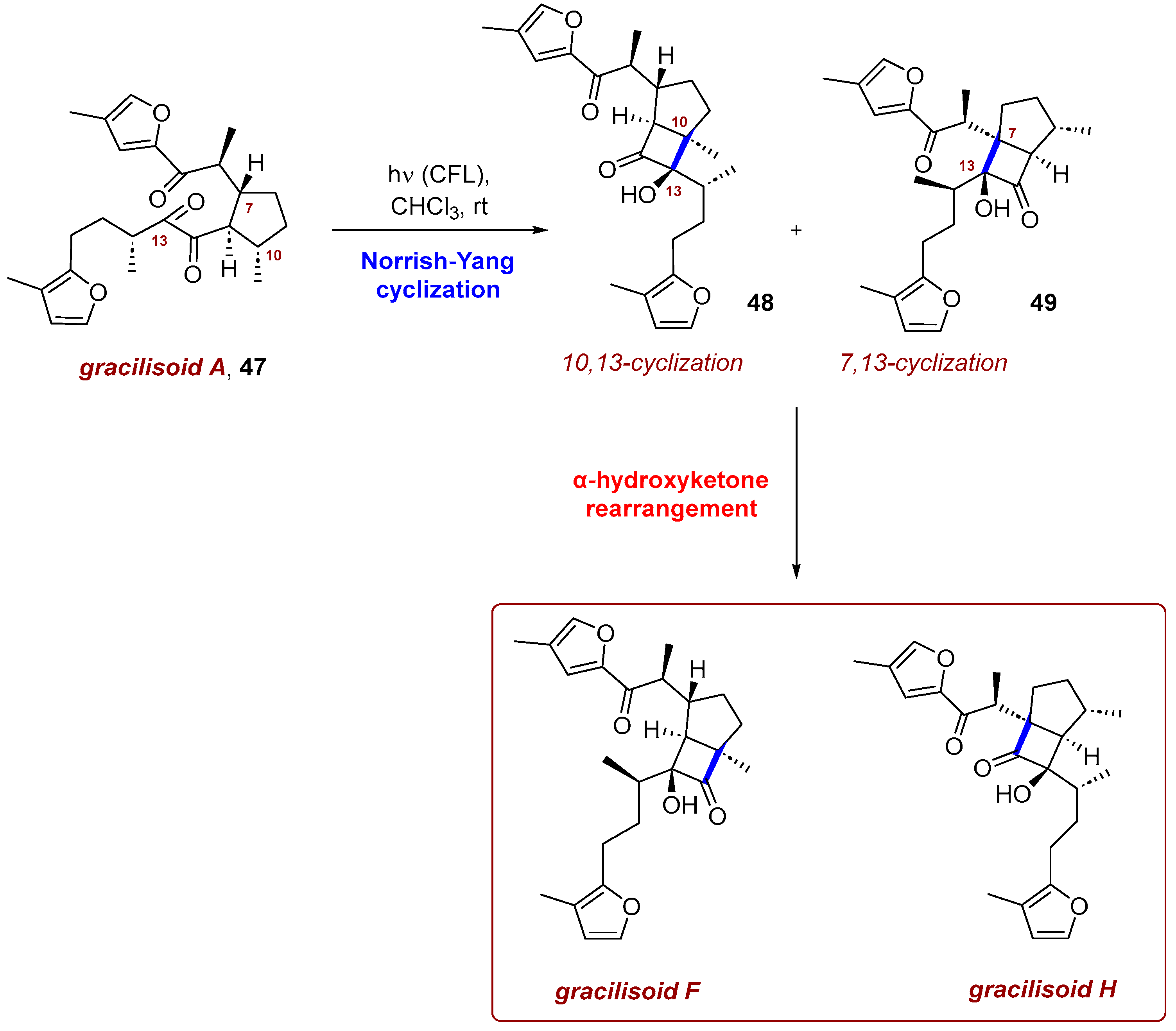 Photochem 06 00005 sch019