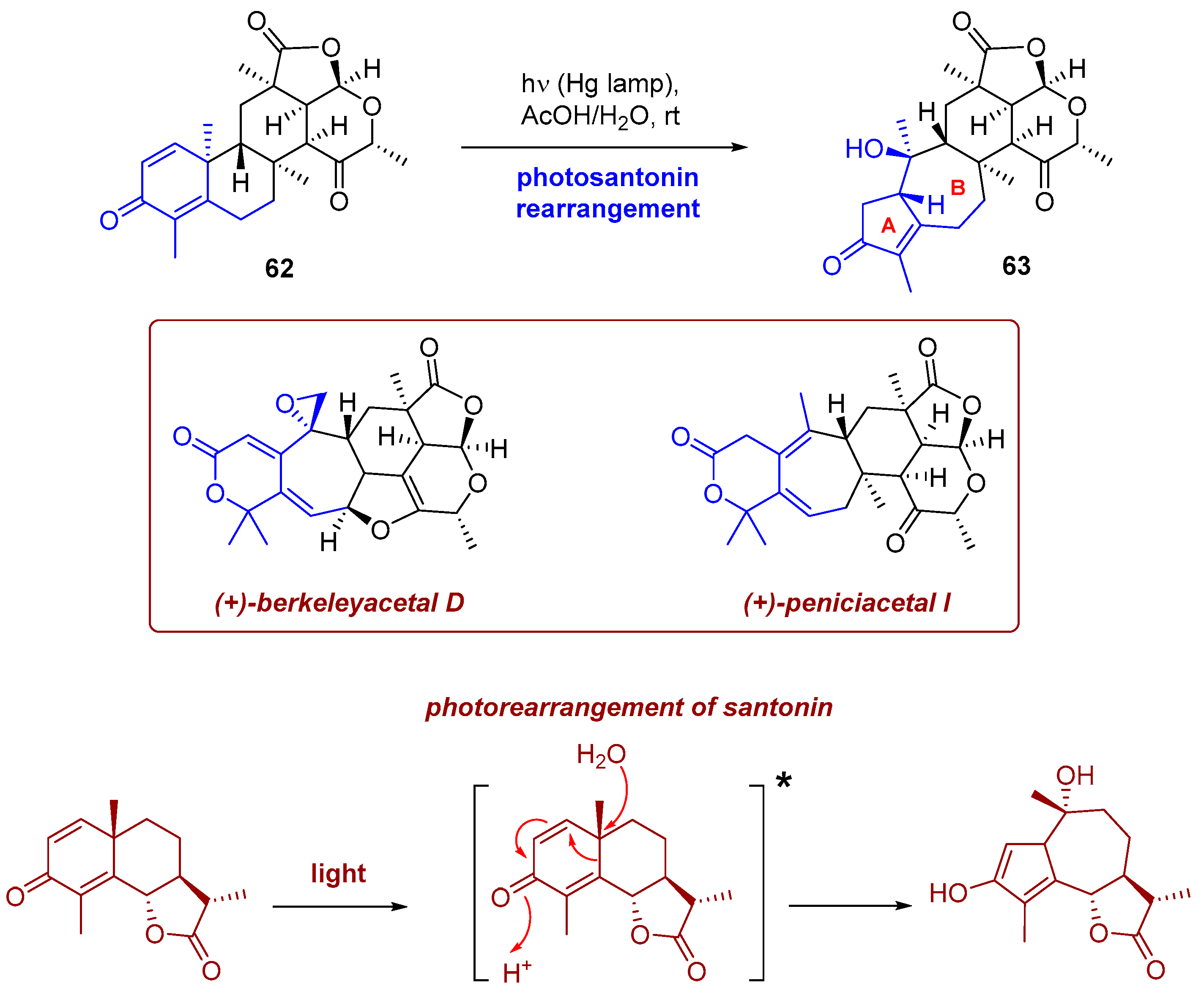 Photochem 06 00005 sch023