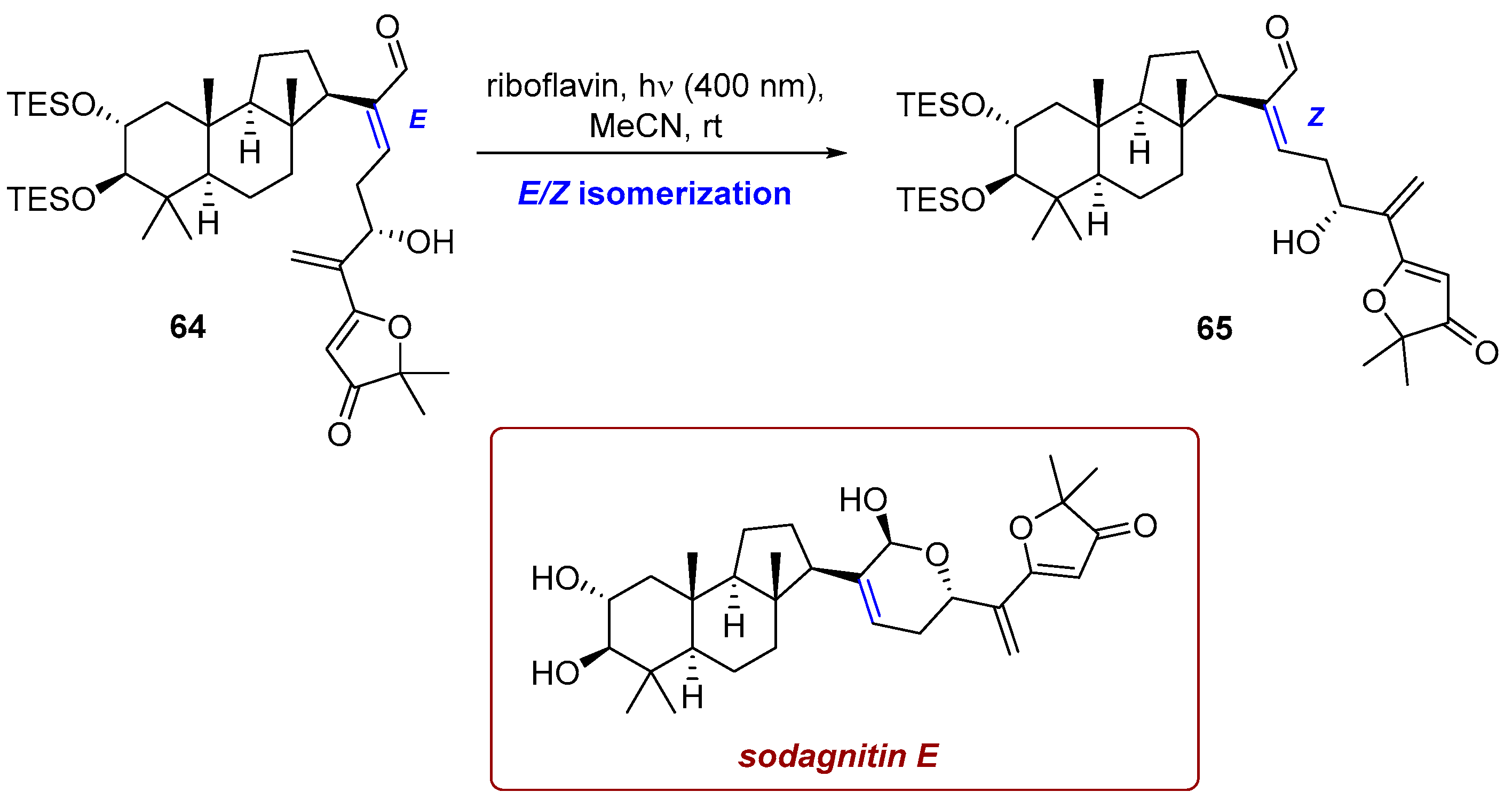 Photochem 06 00005 sch024