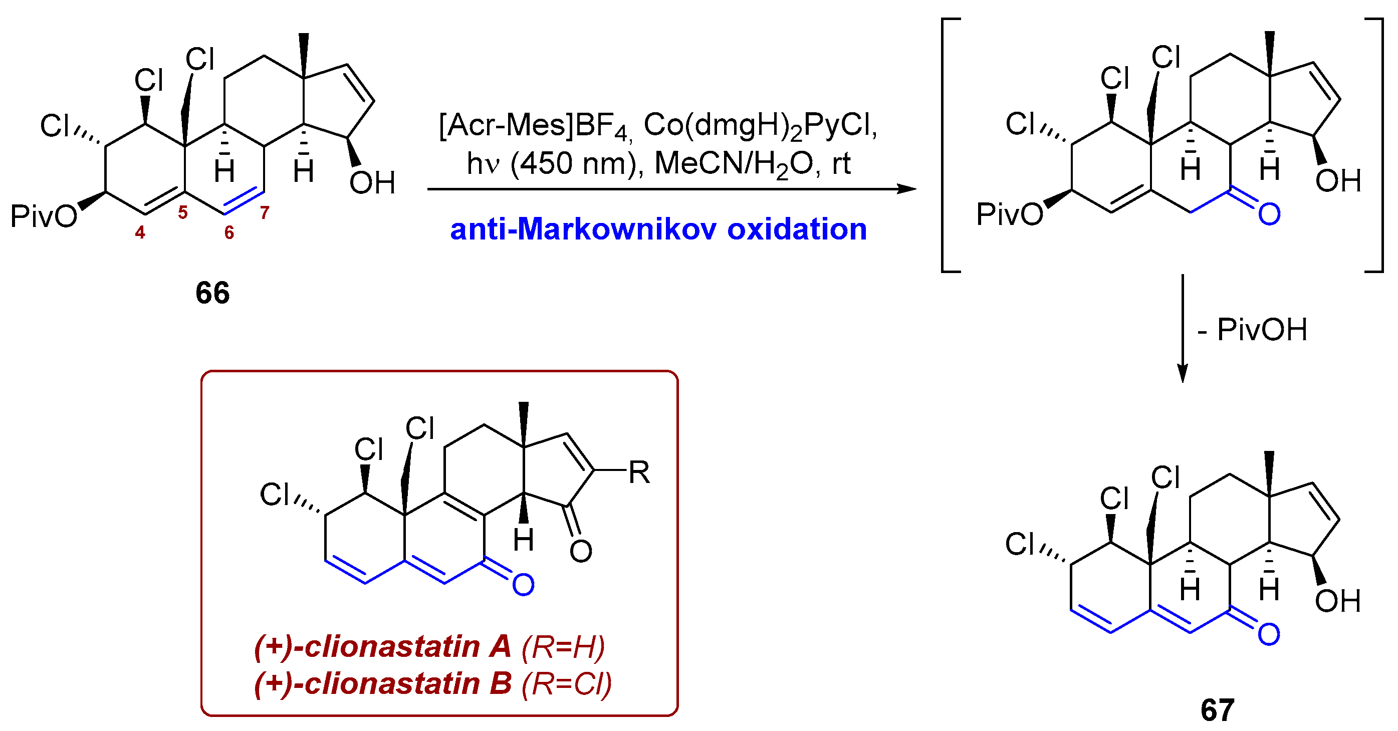 Photochem 06 00005 sch025