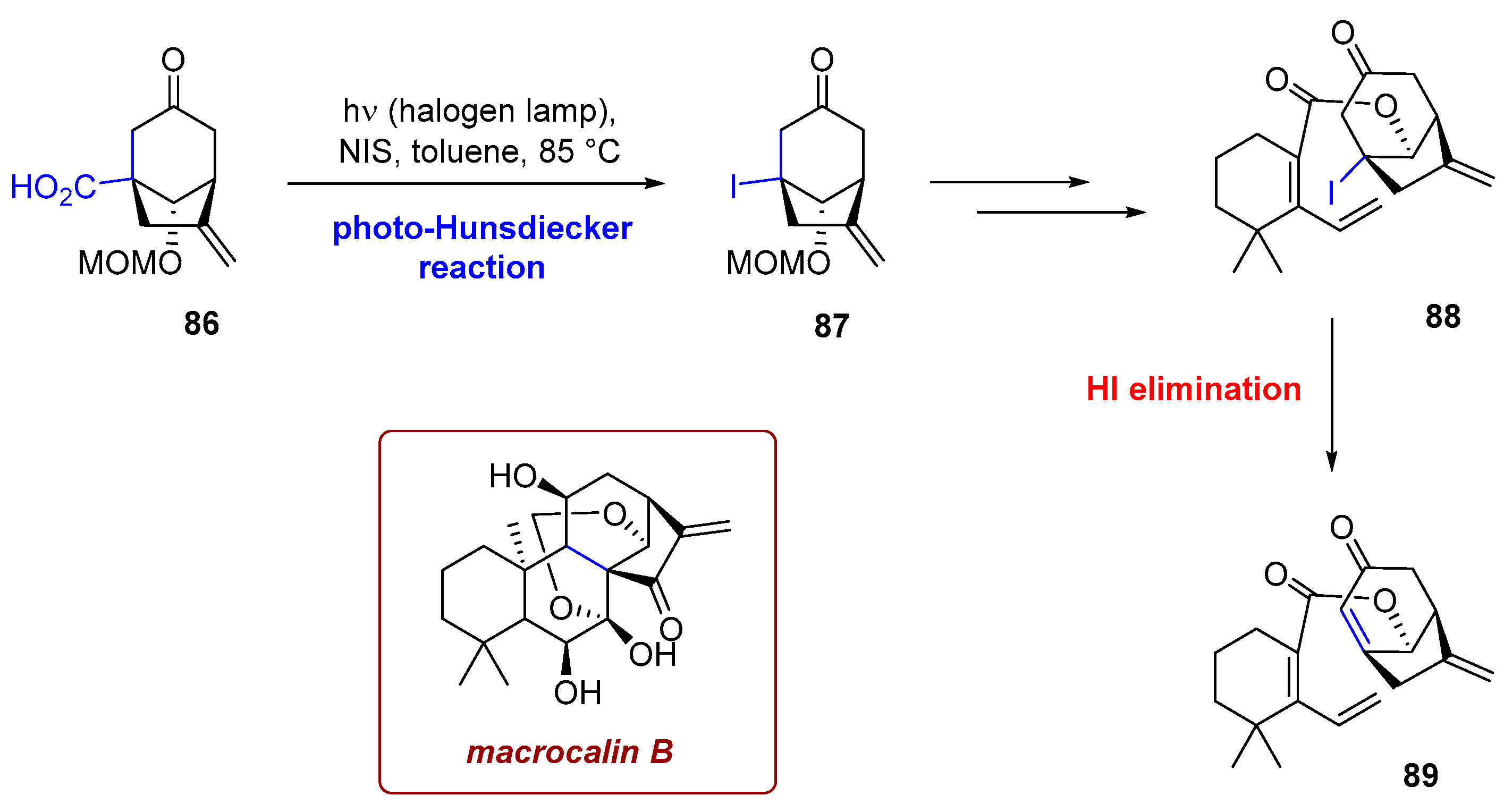 Photochem 06 00005 sch034