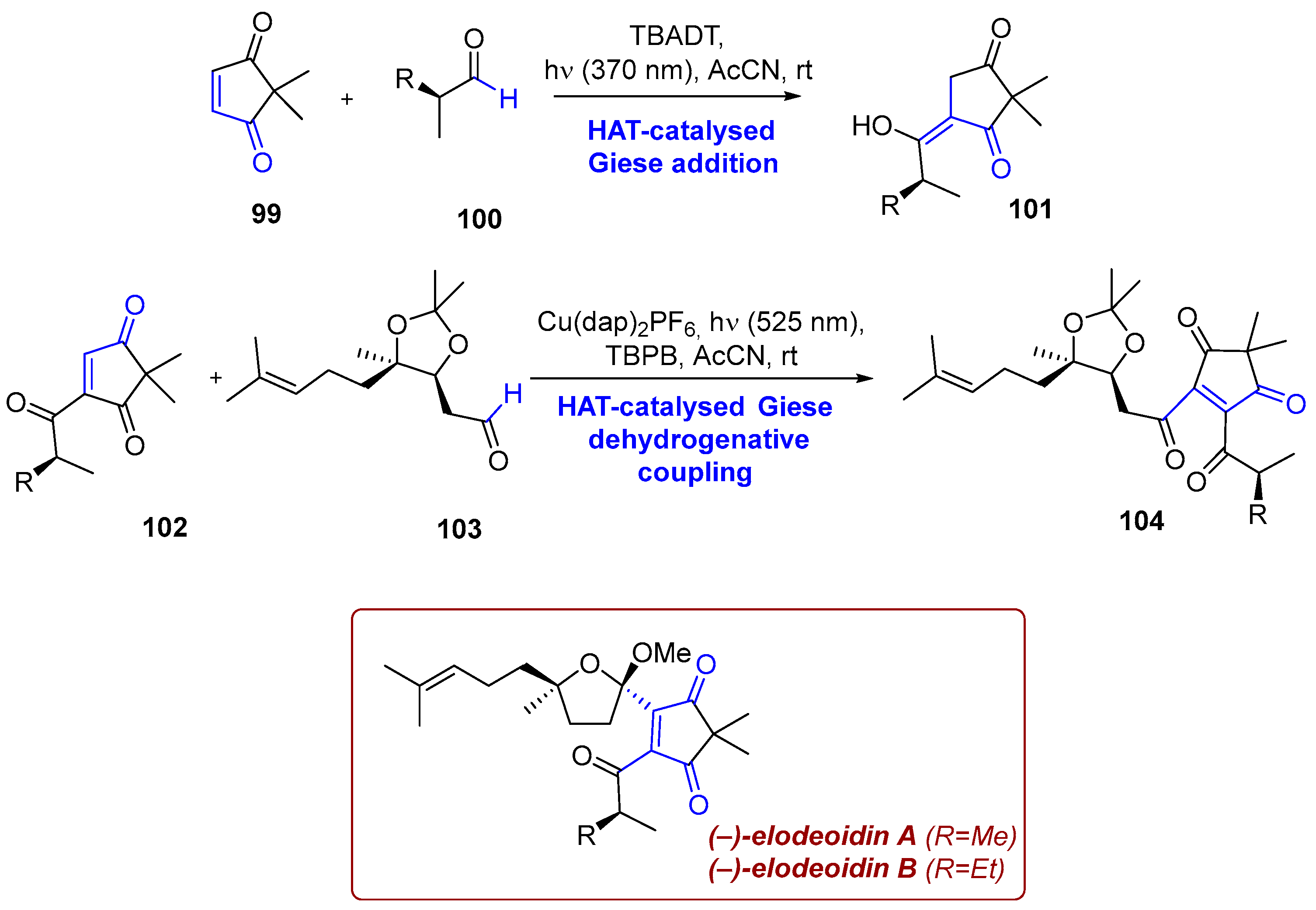 Photochem 06 00005 sch038