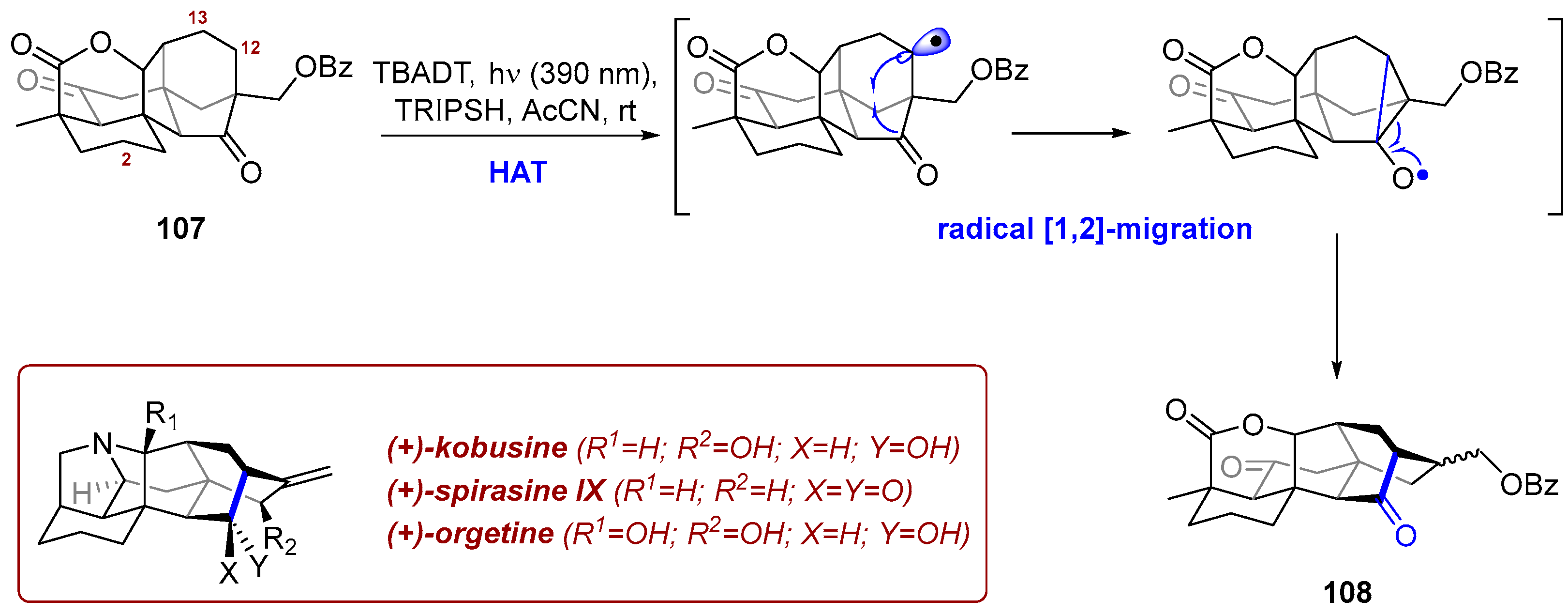 Photochem 06 00005 sch040