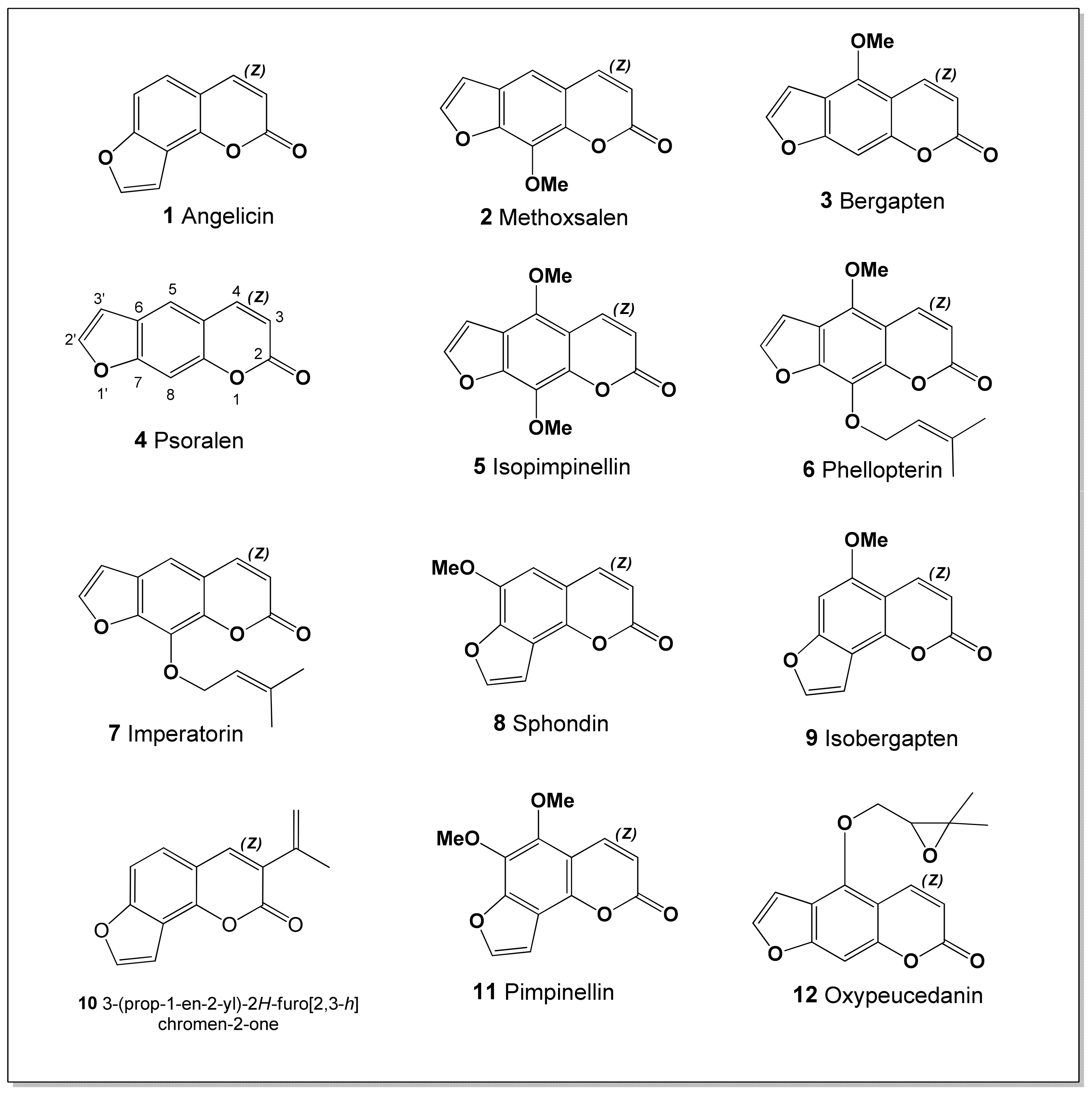 Photochem 06 00007 g002 Photochem 06 00007 g002