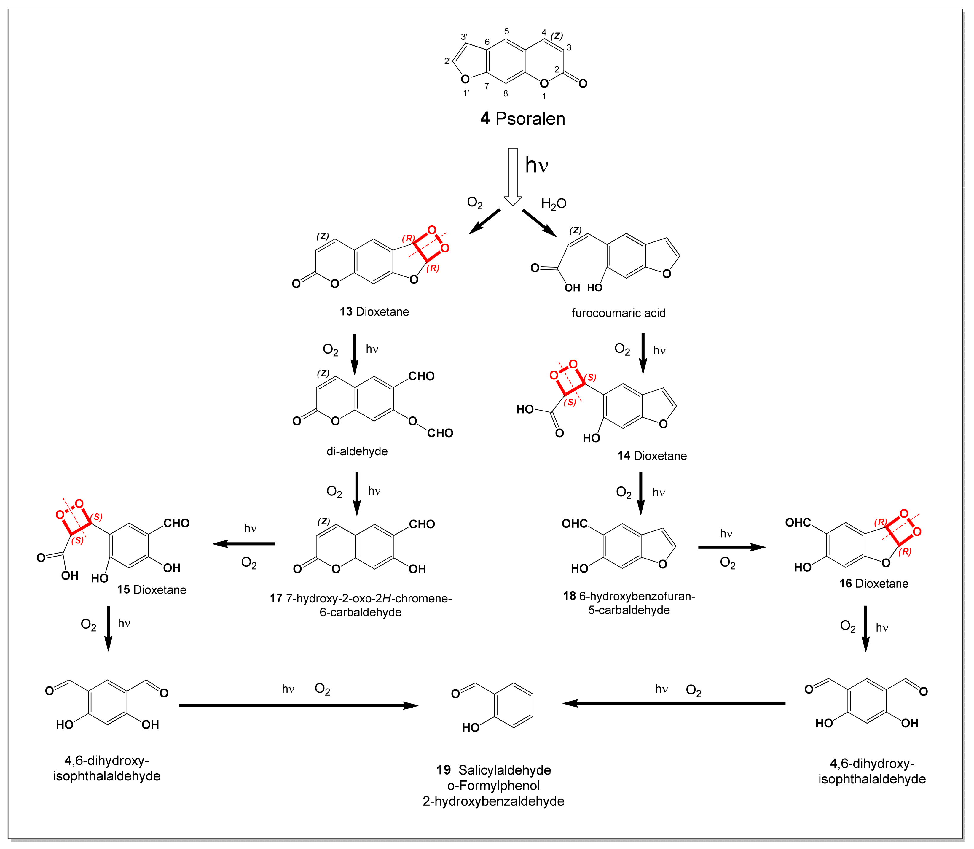 Photochem 06 00007 g004 Photochem 06 00007 g004