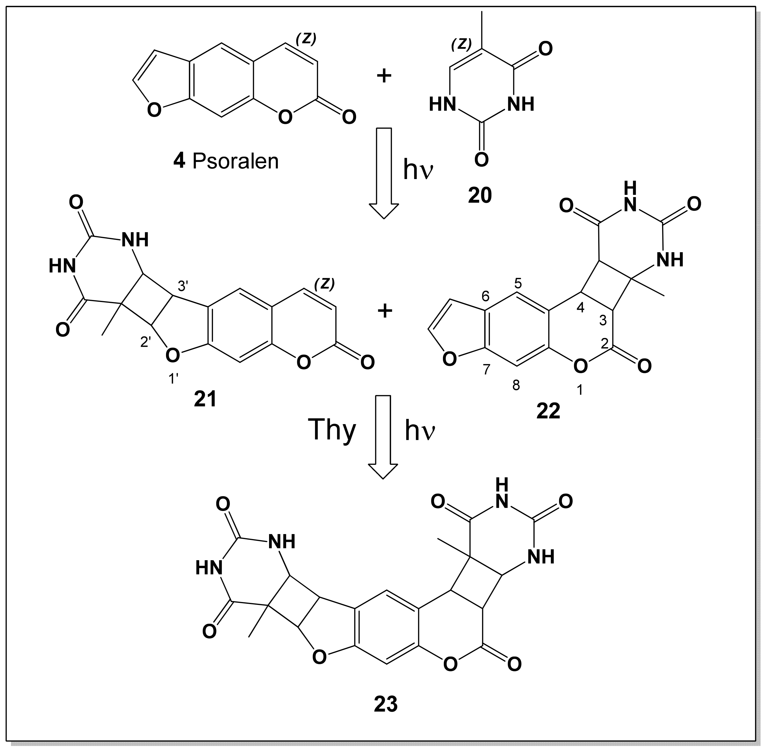 Photochem 06 00007 g005 Photochem 06 00007 g005