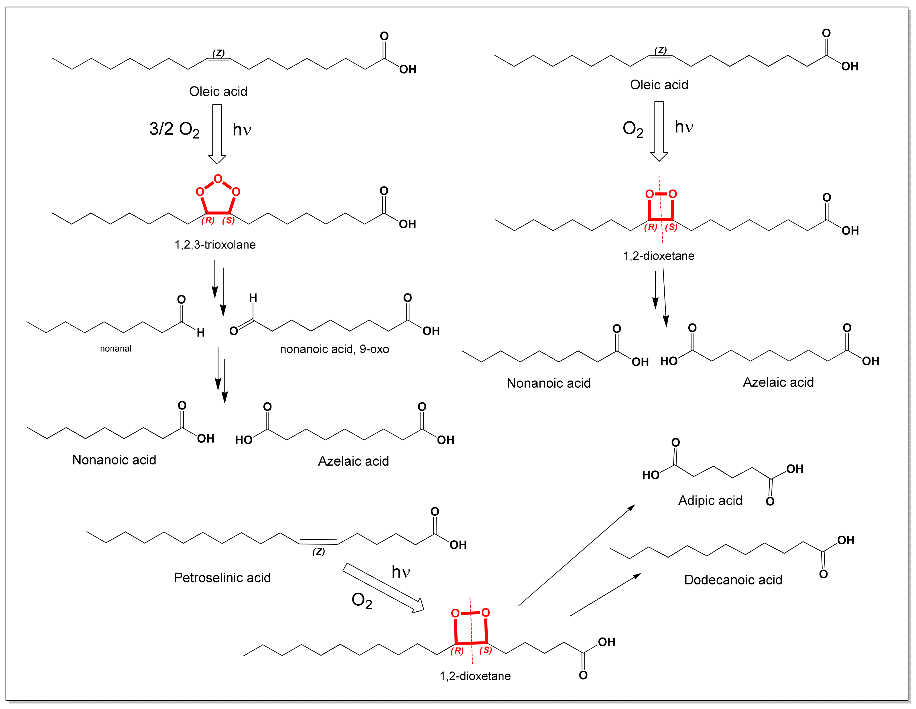 Photochem 06 00007 g009 Photochem 06 00007 g009
