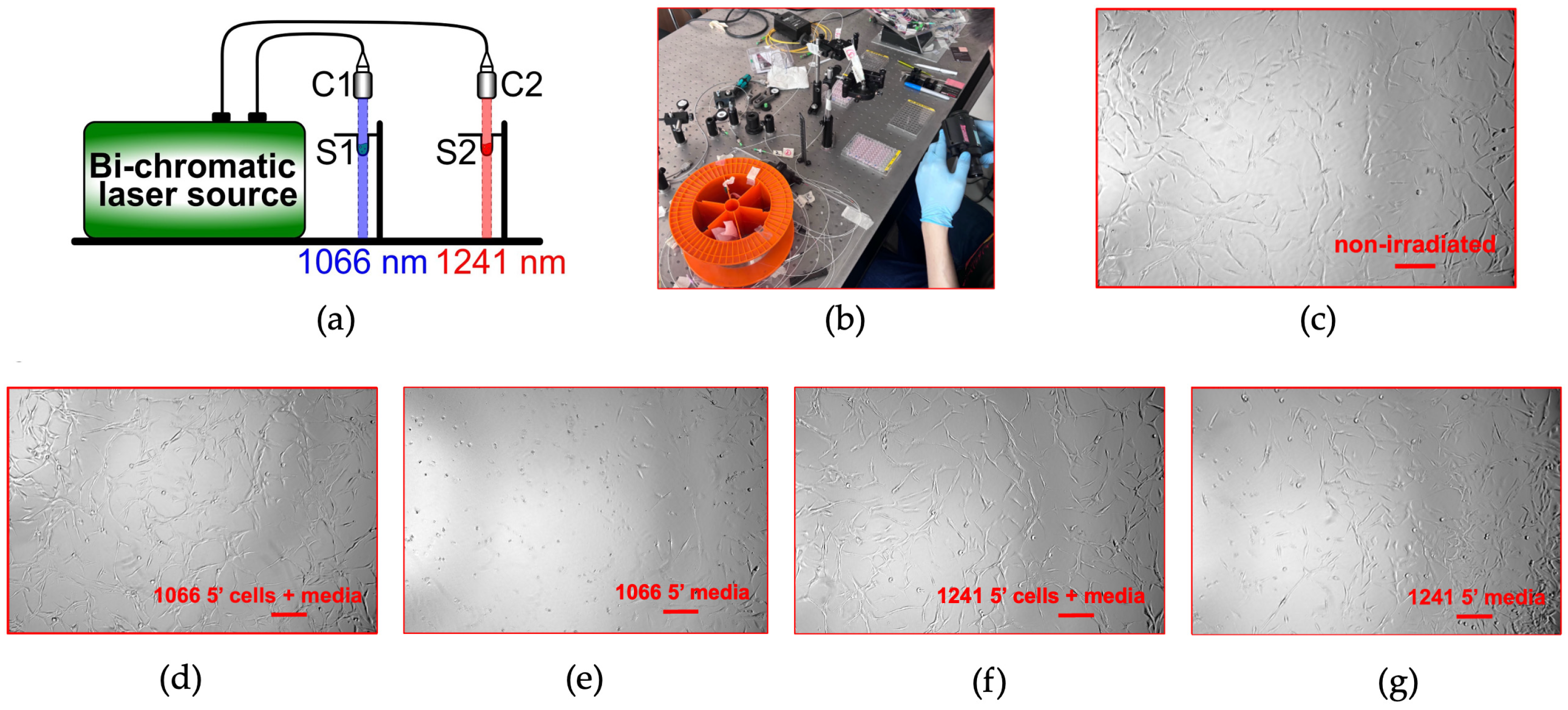 Photochem 06 00015 g004 Photochem 06 00015 g004