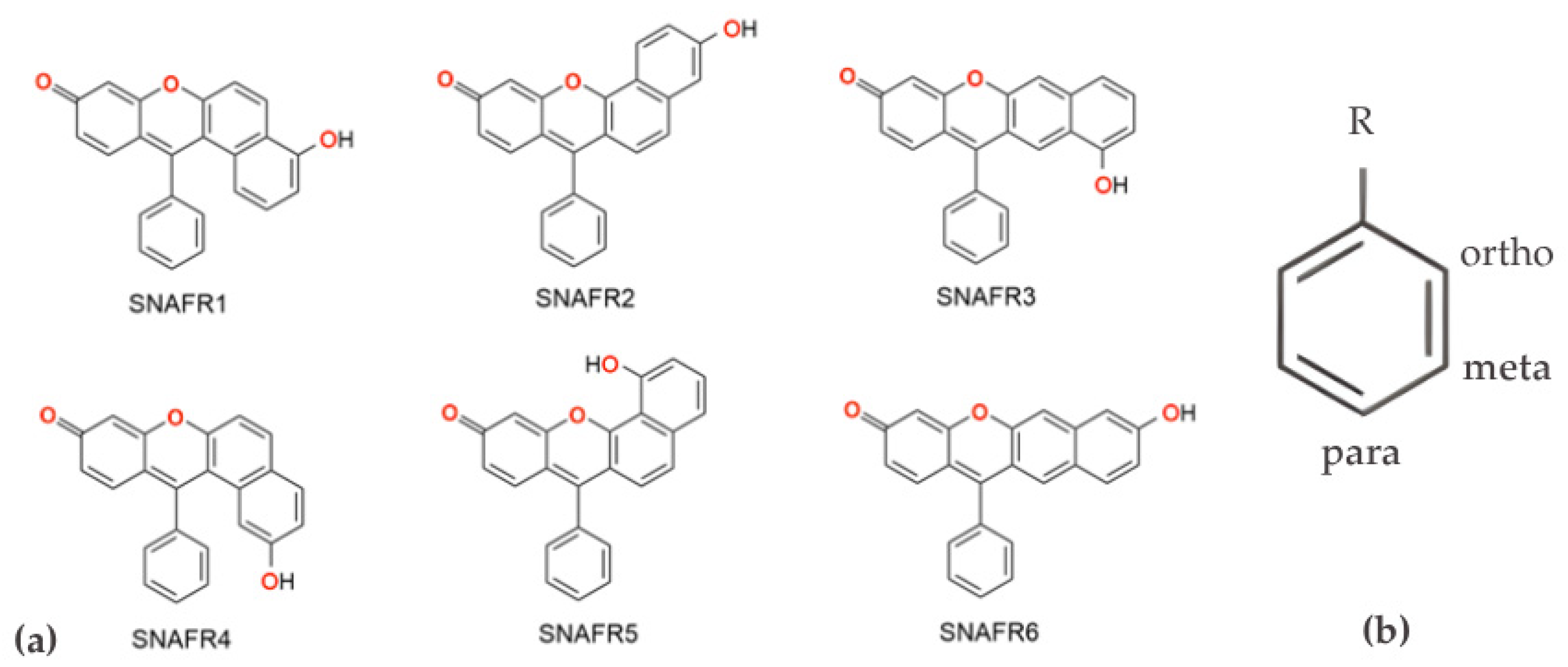 Photochem 06 00016 sch001 Photochem 06 00016 sch001