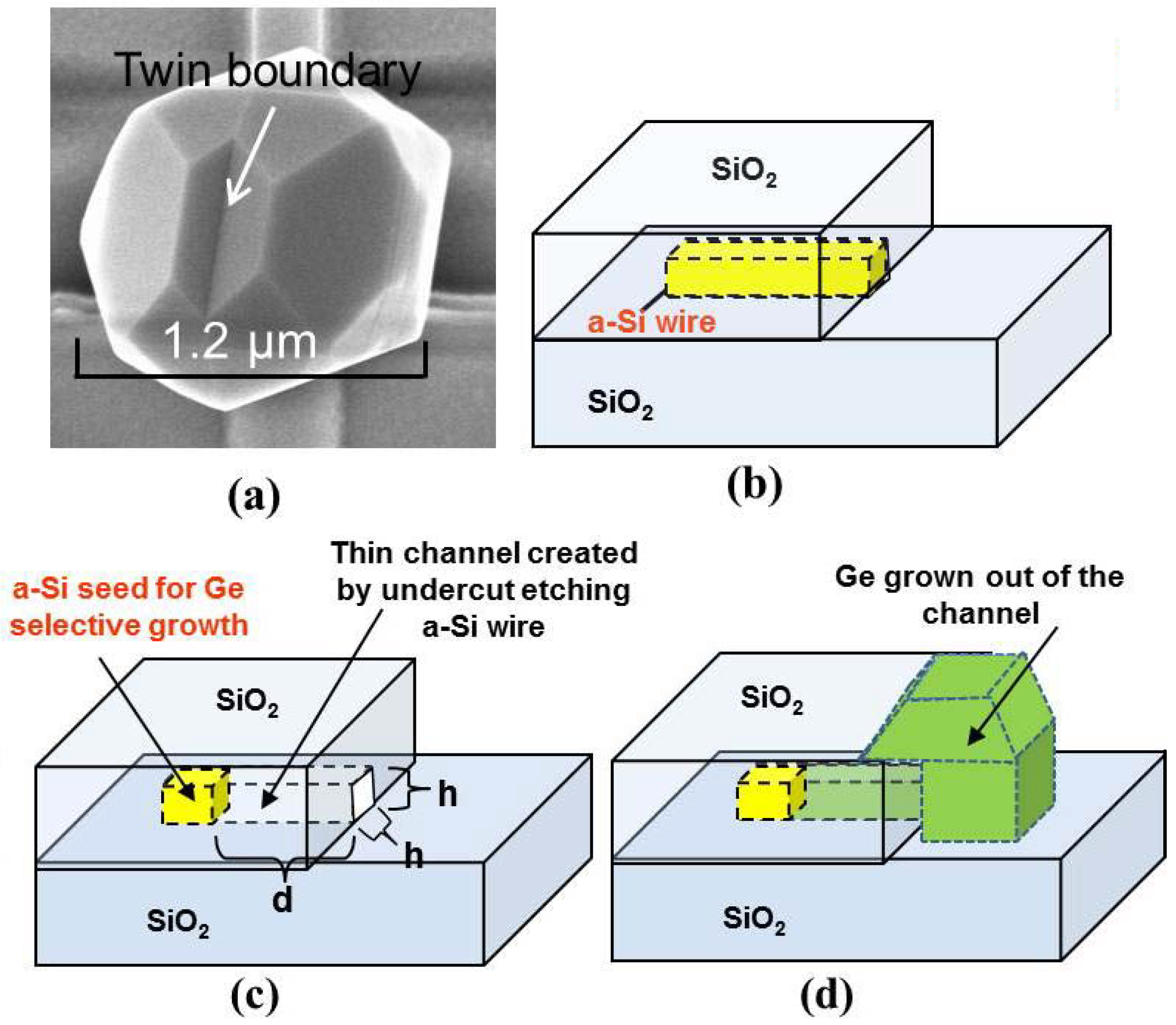 Photonics 01 00162 g006