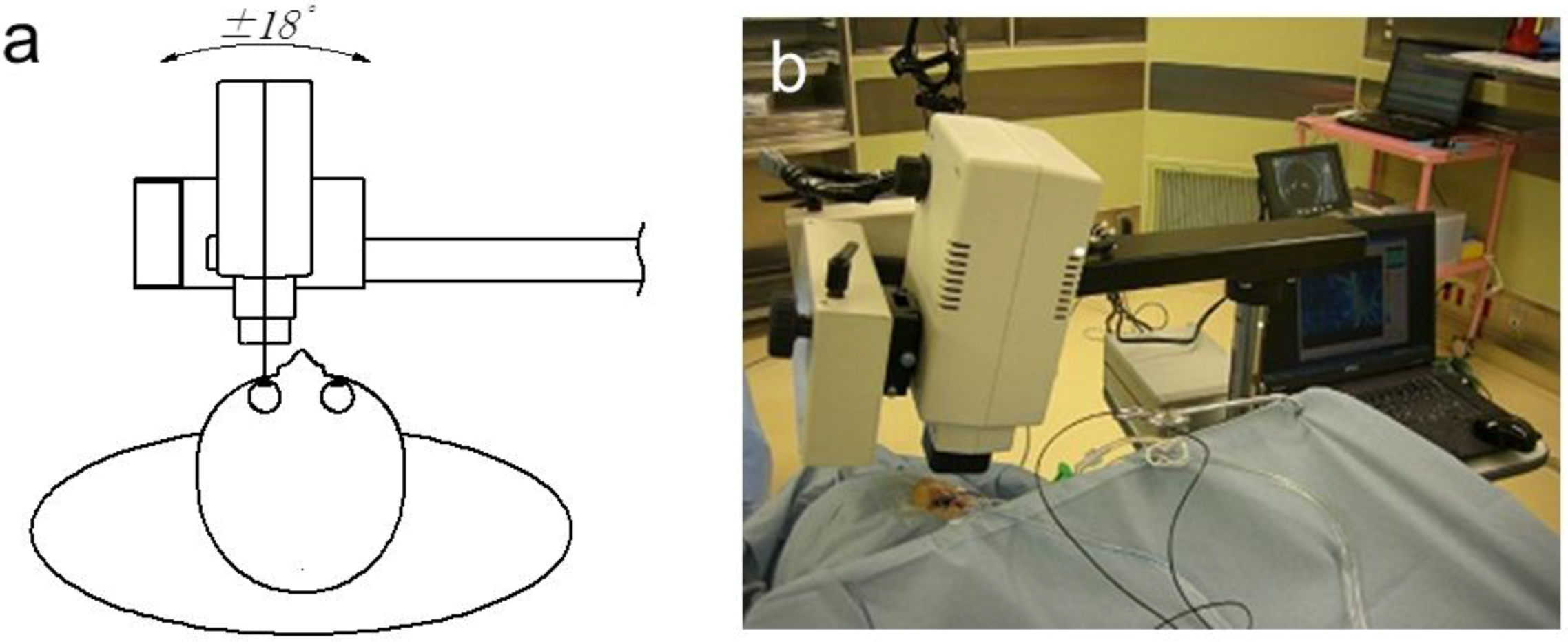 Photonics 01 00220 g004