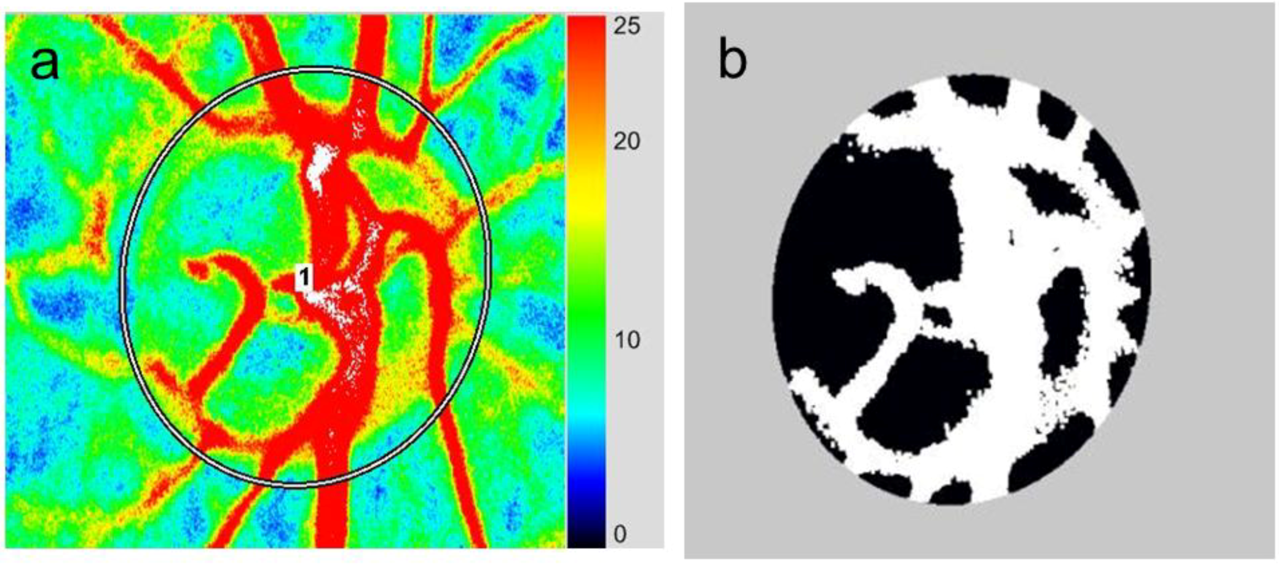 Photonics 01 00220 g005