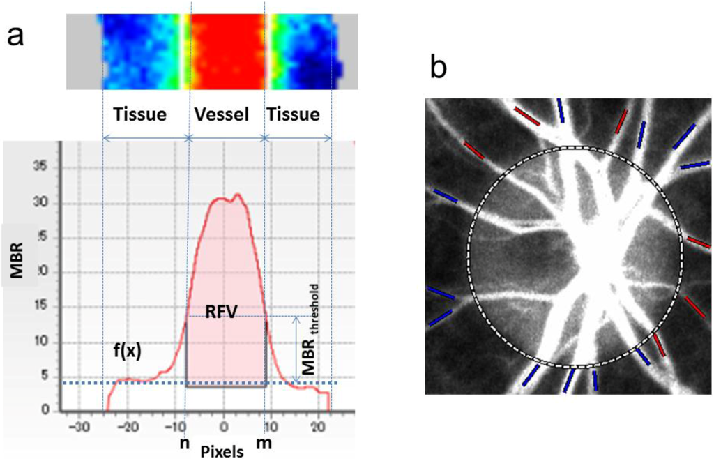 Photonics 01 00220 g007 1024