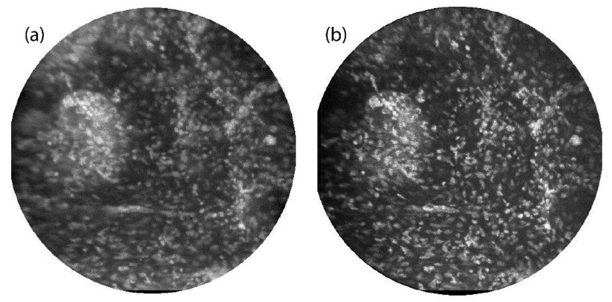 Photonics 01 00421 g004