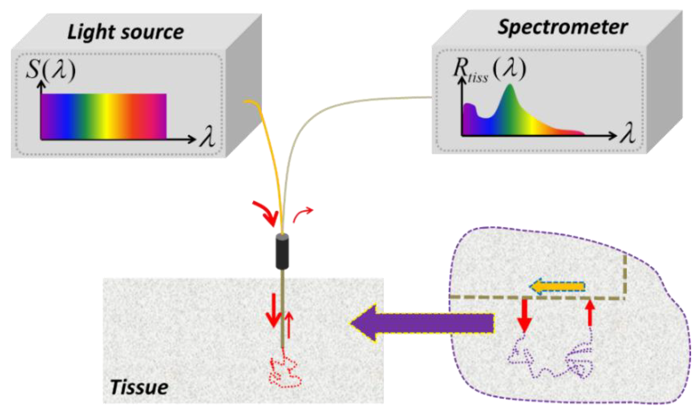 Photonics 01 00565 g001