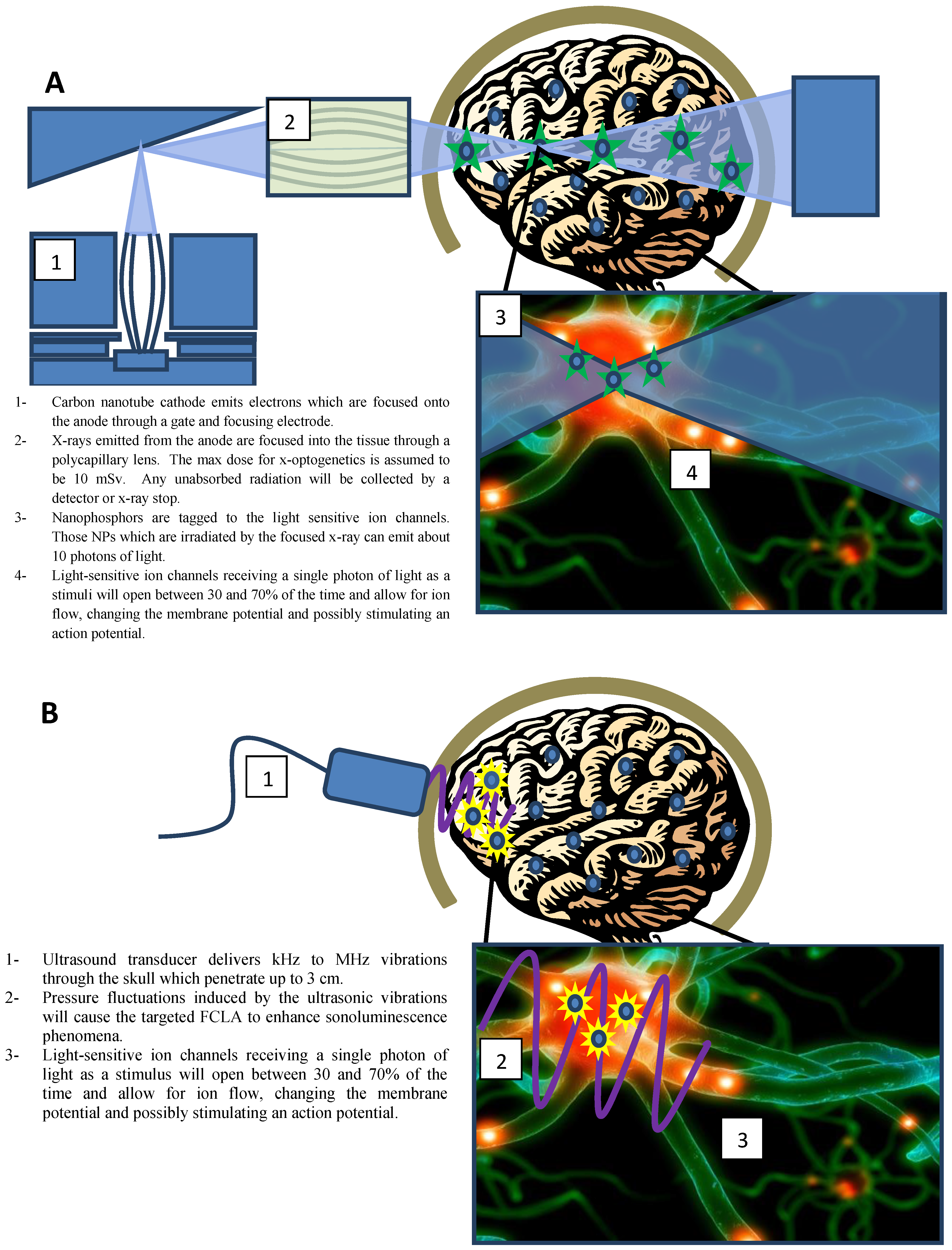 Photonics 02 00023 g001