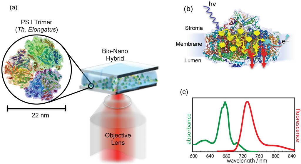 Photonics 02 00838 g002 1024