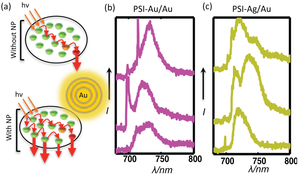 Photonics 02 00838 g007 1024