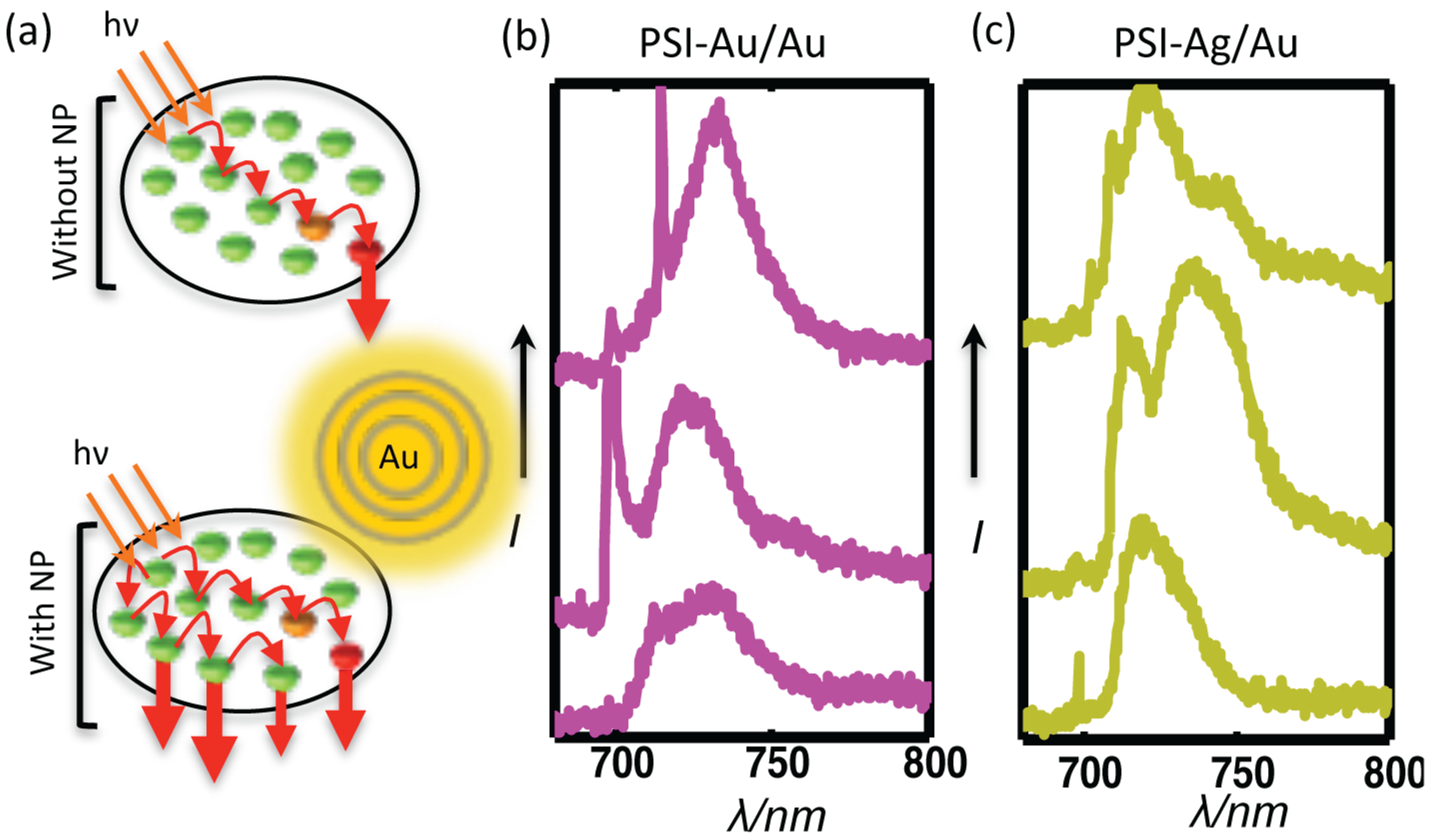 Photonics 02 00838 g007