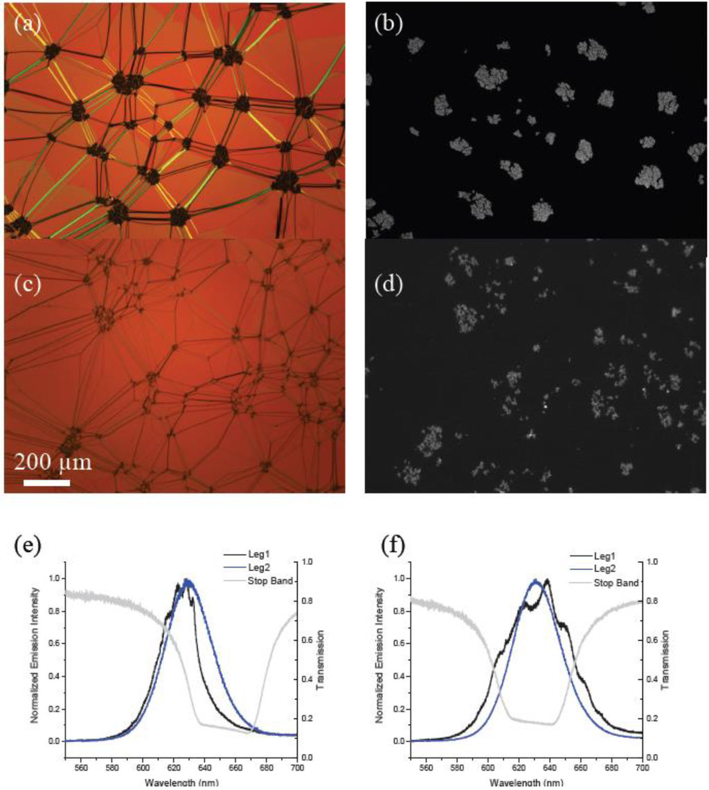 Photonics 02 00855 g003 1024