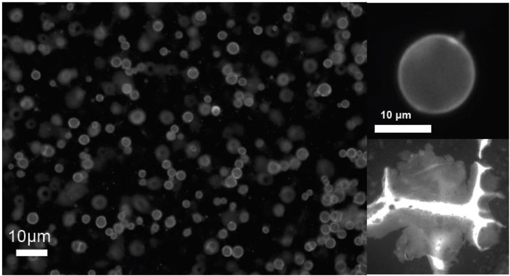 Photonics 02 00855 g004 1024