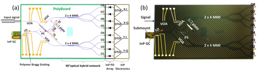 Photonics 02 01005 g014 1024