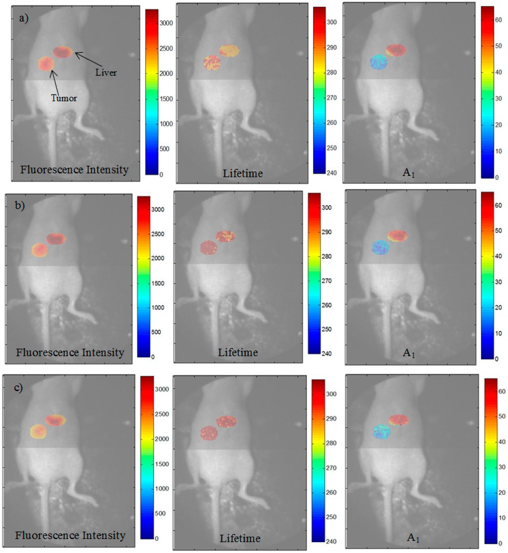 Photonics 02 01027 g006 1024