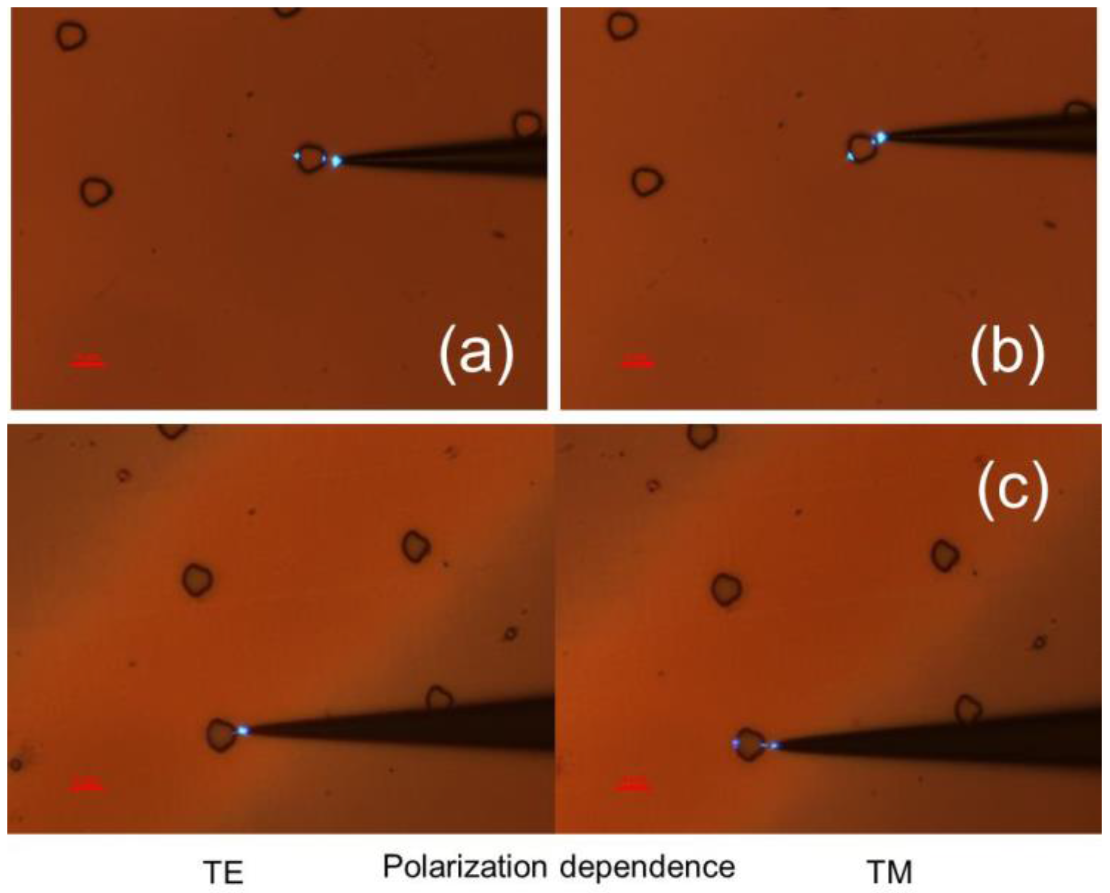 Photonics 03 00008 g002