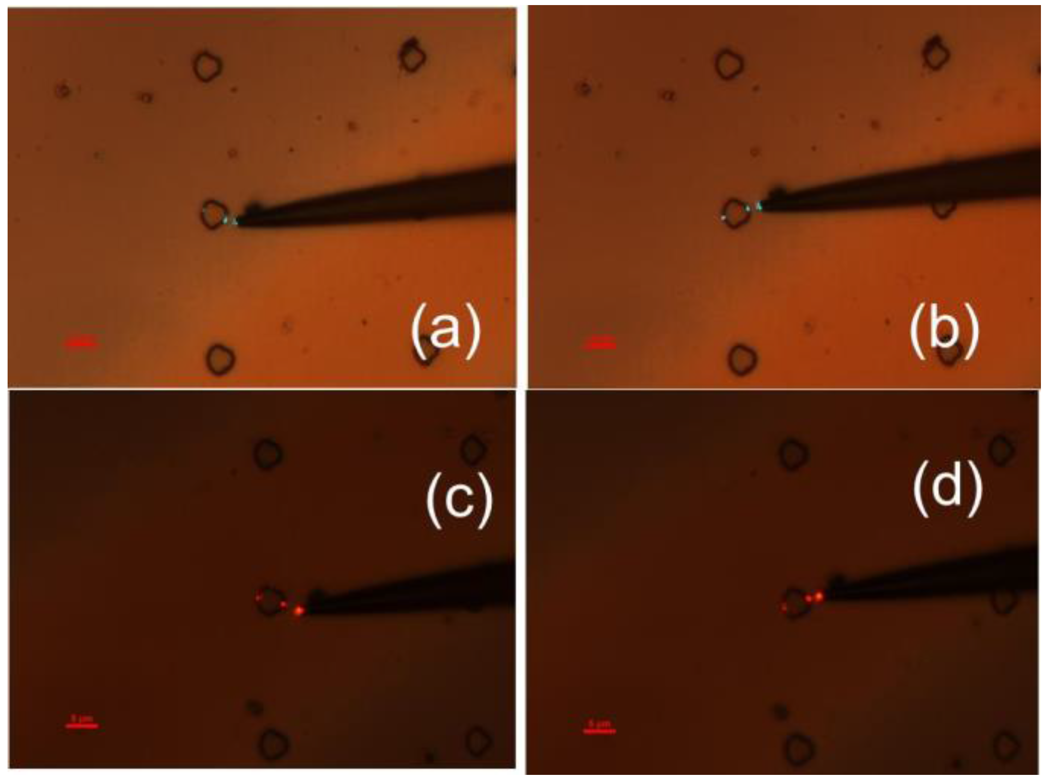 Photonics 03 00008 g004
