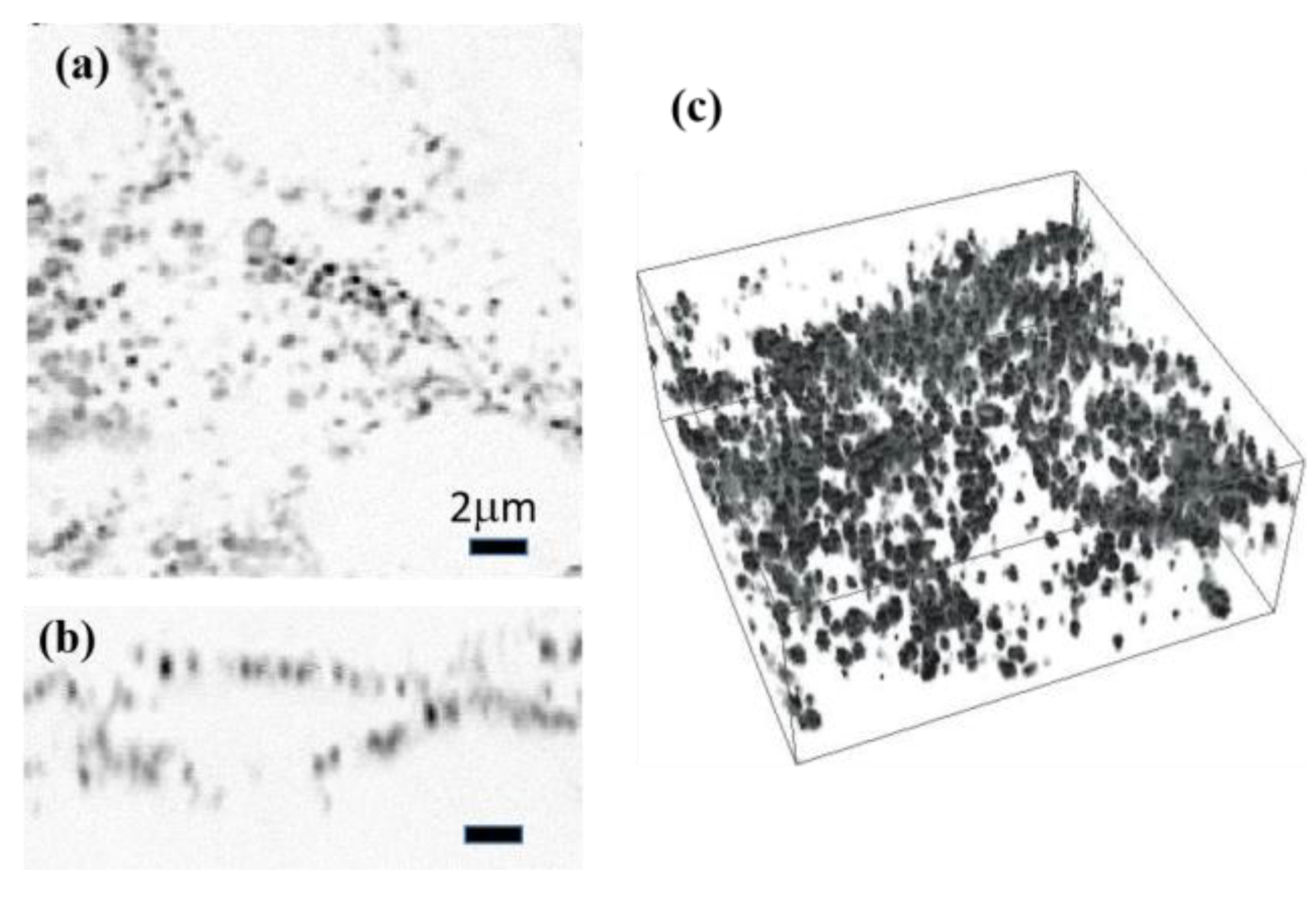Photonics 04 00032 g005
