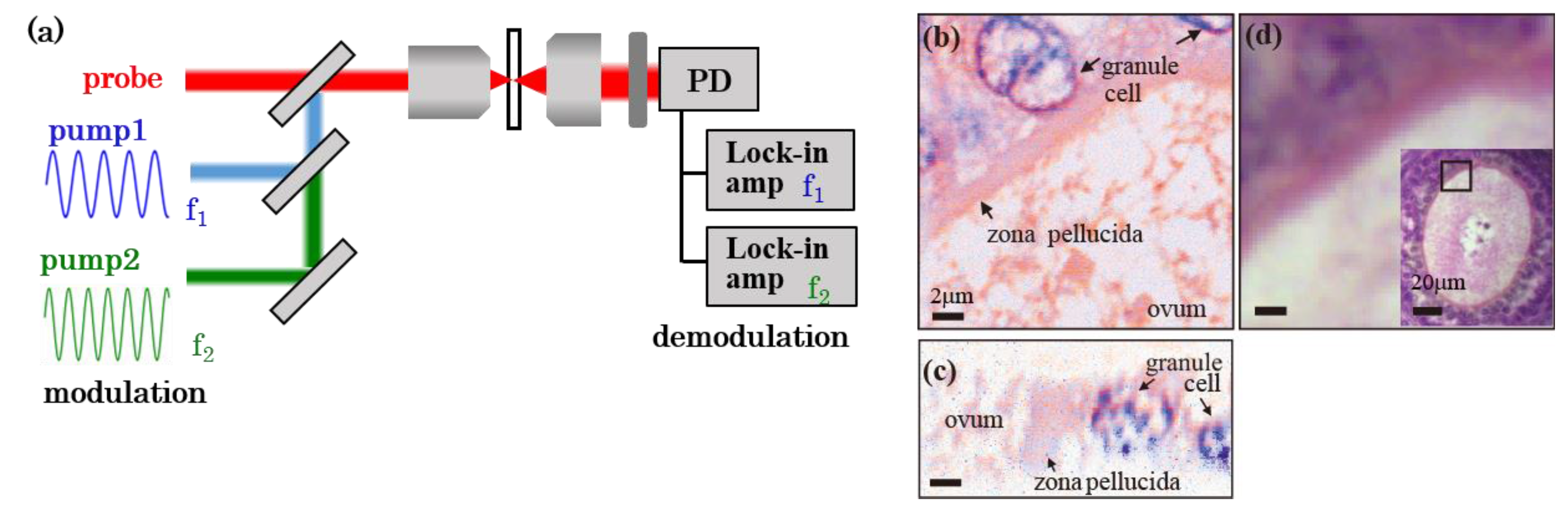 Photonics 04 00032 g007