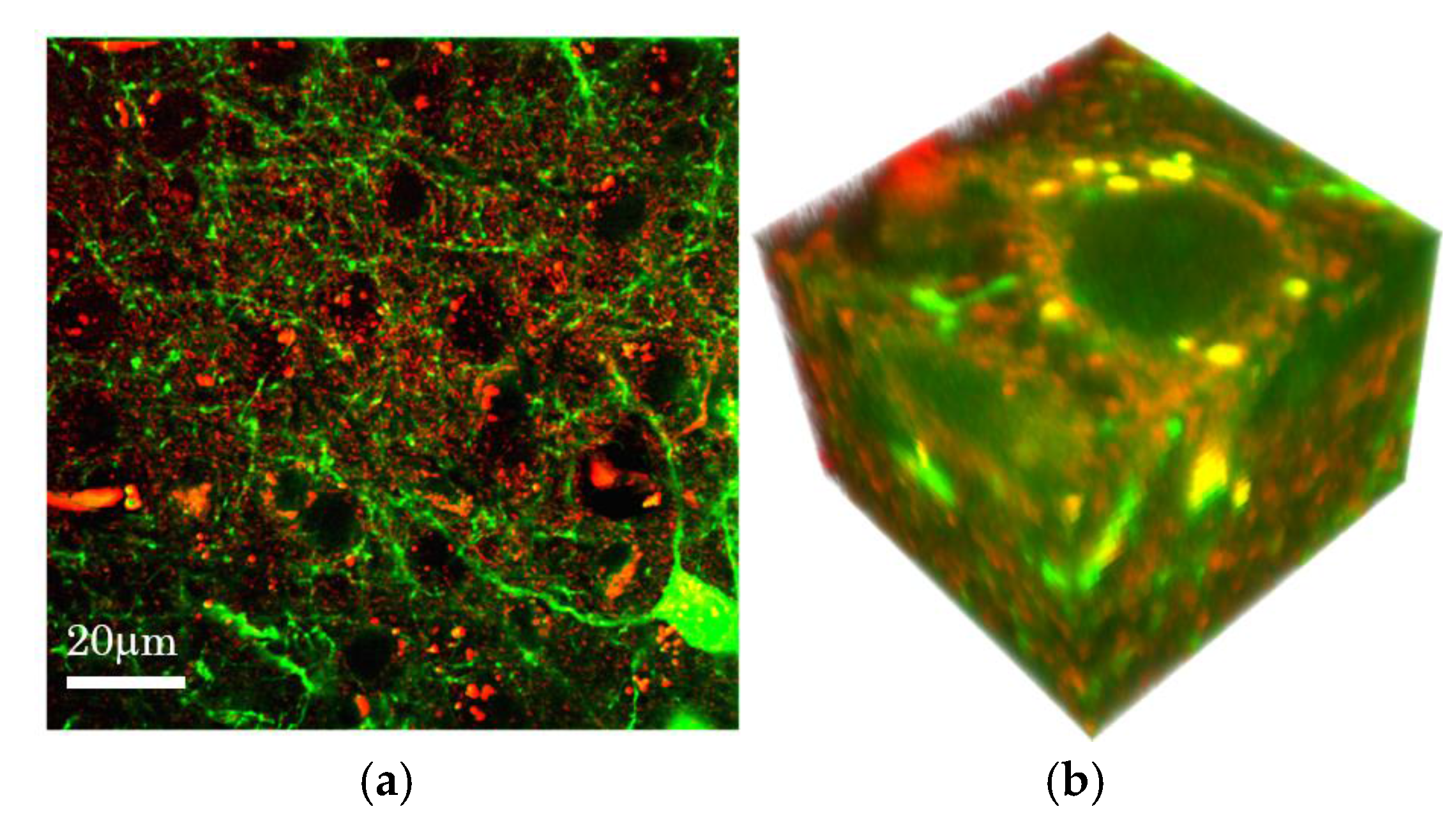 Photonics 04 00032 g008
