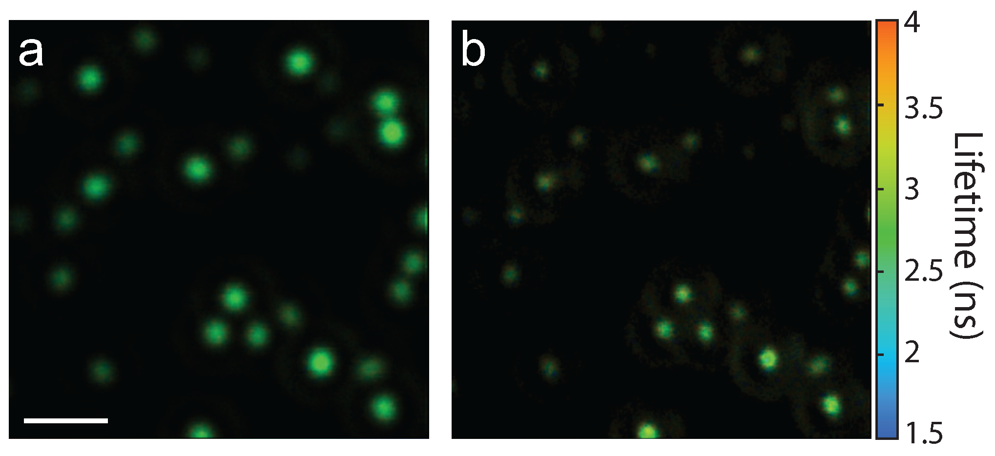 Photonics 04 00039 g007