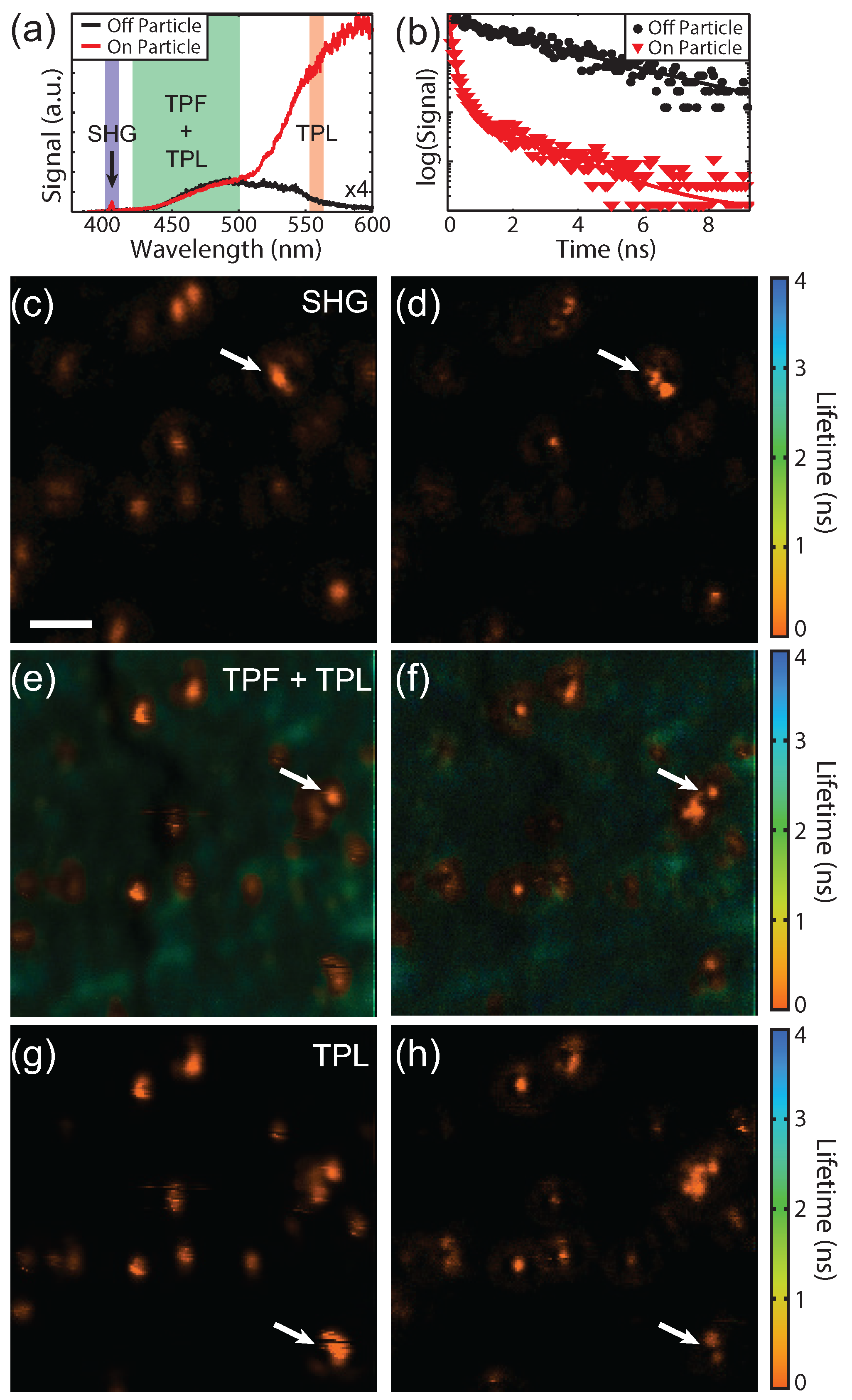 Photonics 04 00039 g008