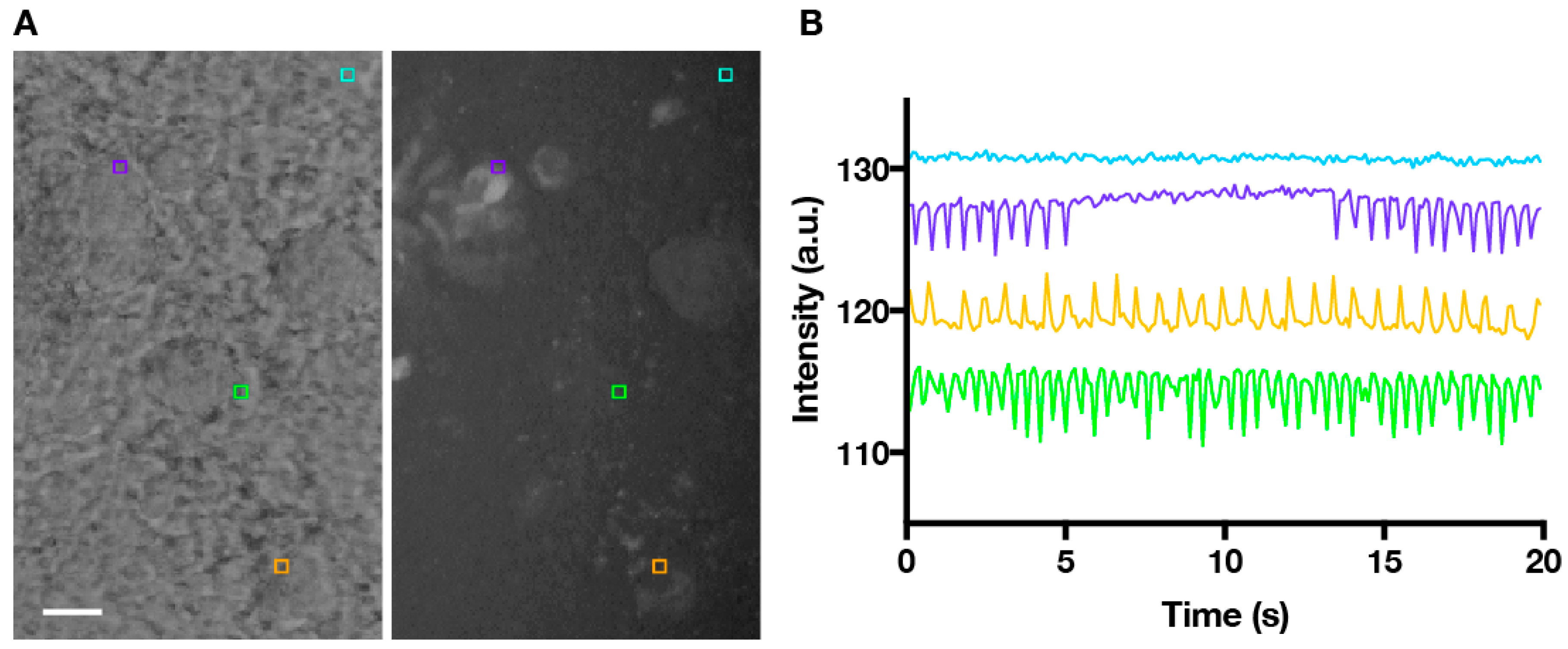 Photonics 05 00039 g001 Photonics 05 00039 g001