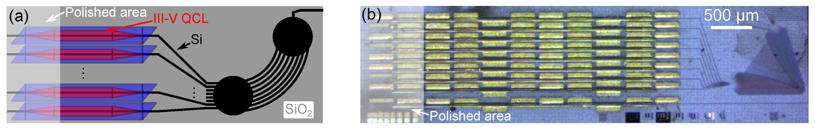 Multi-Spectral Quantum Cascade Lasers on Silicon With Integrated ...