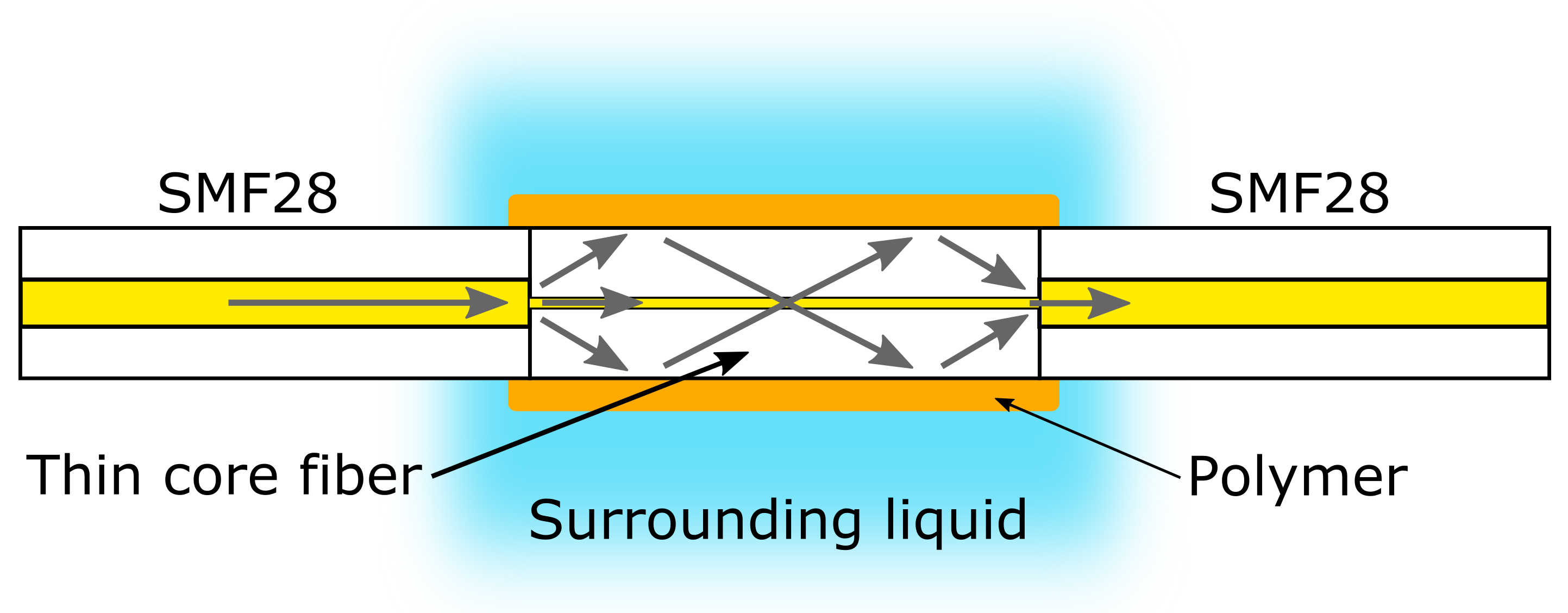 Photonics 06 00011 g001