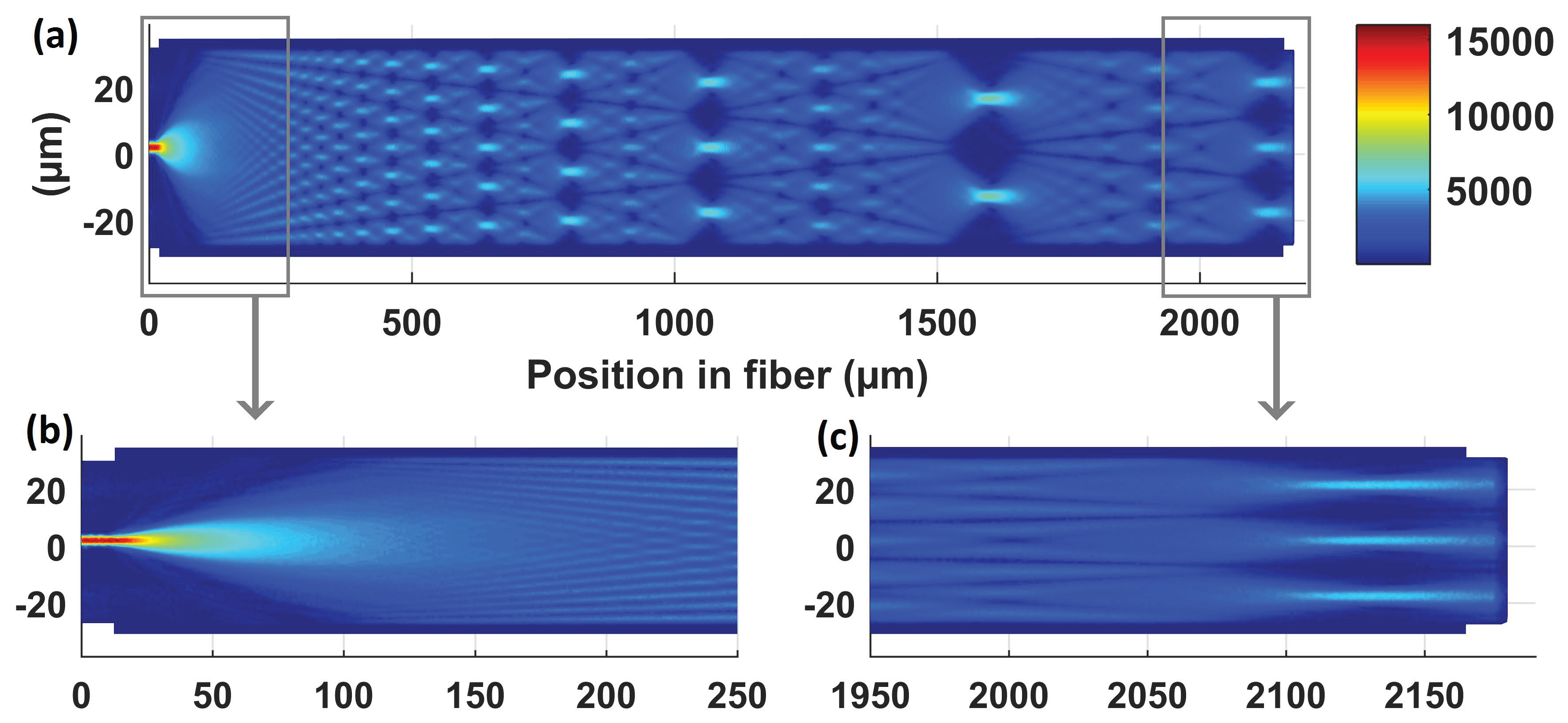 Photonics 06 00011 g002