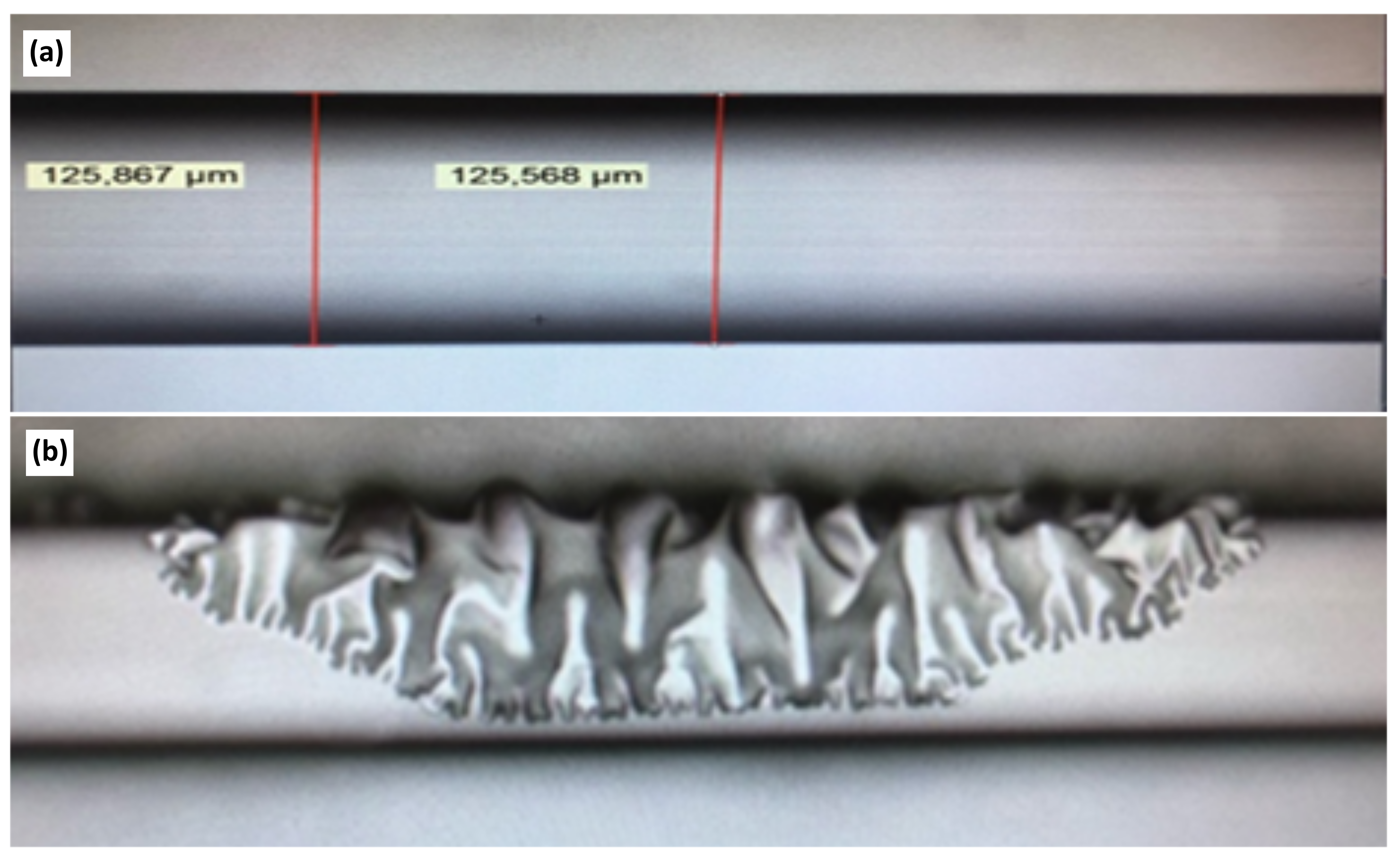 Photonics 06 00011 g007