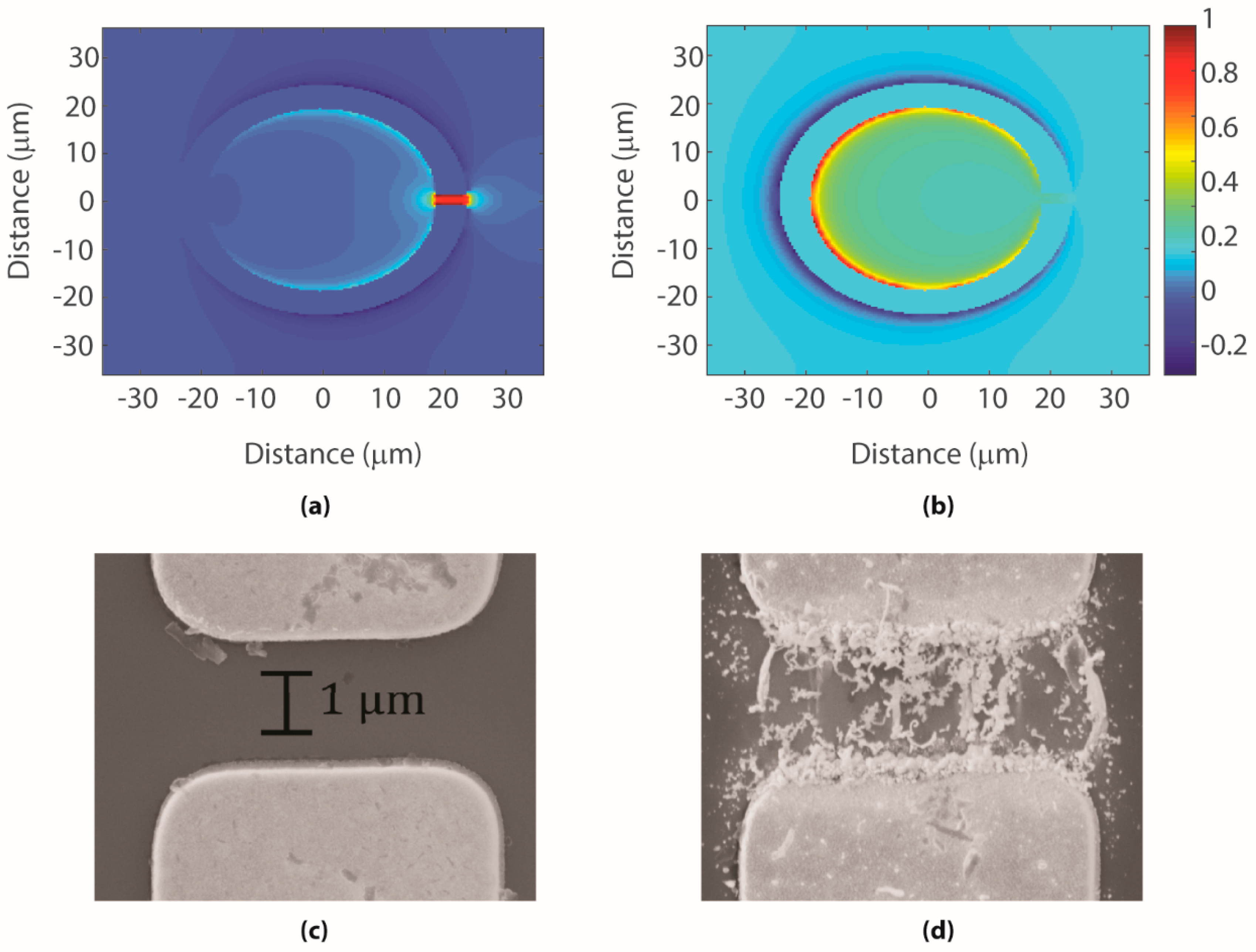 Photonics 06 00022 g001