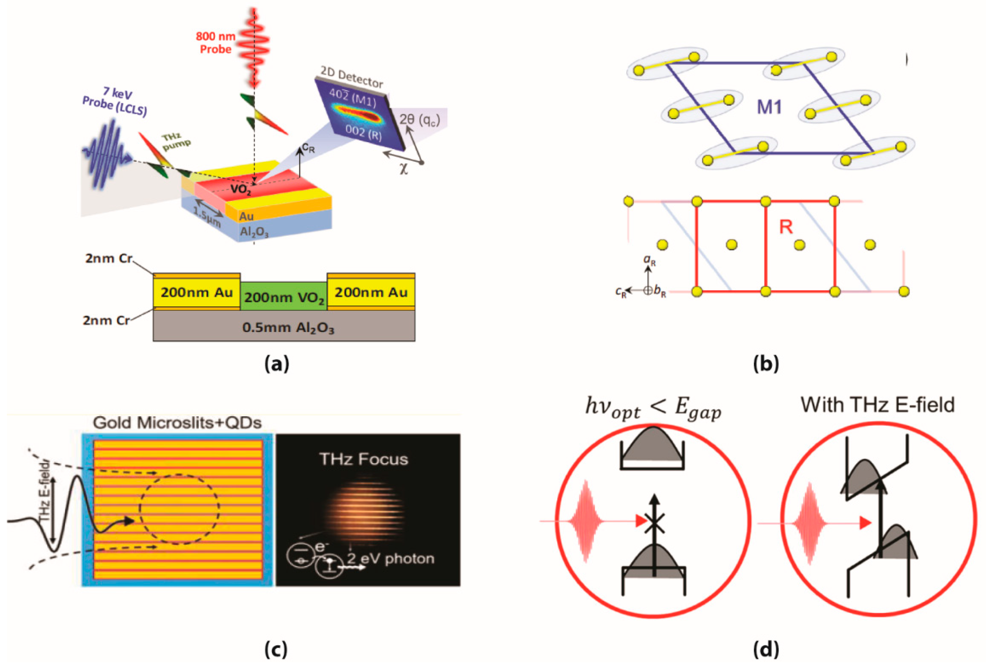 Photonics 06 00022 g005
