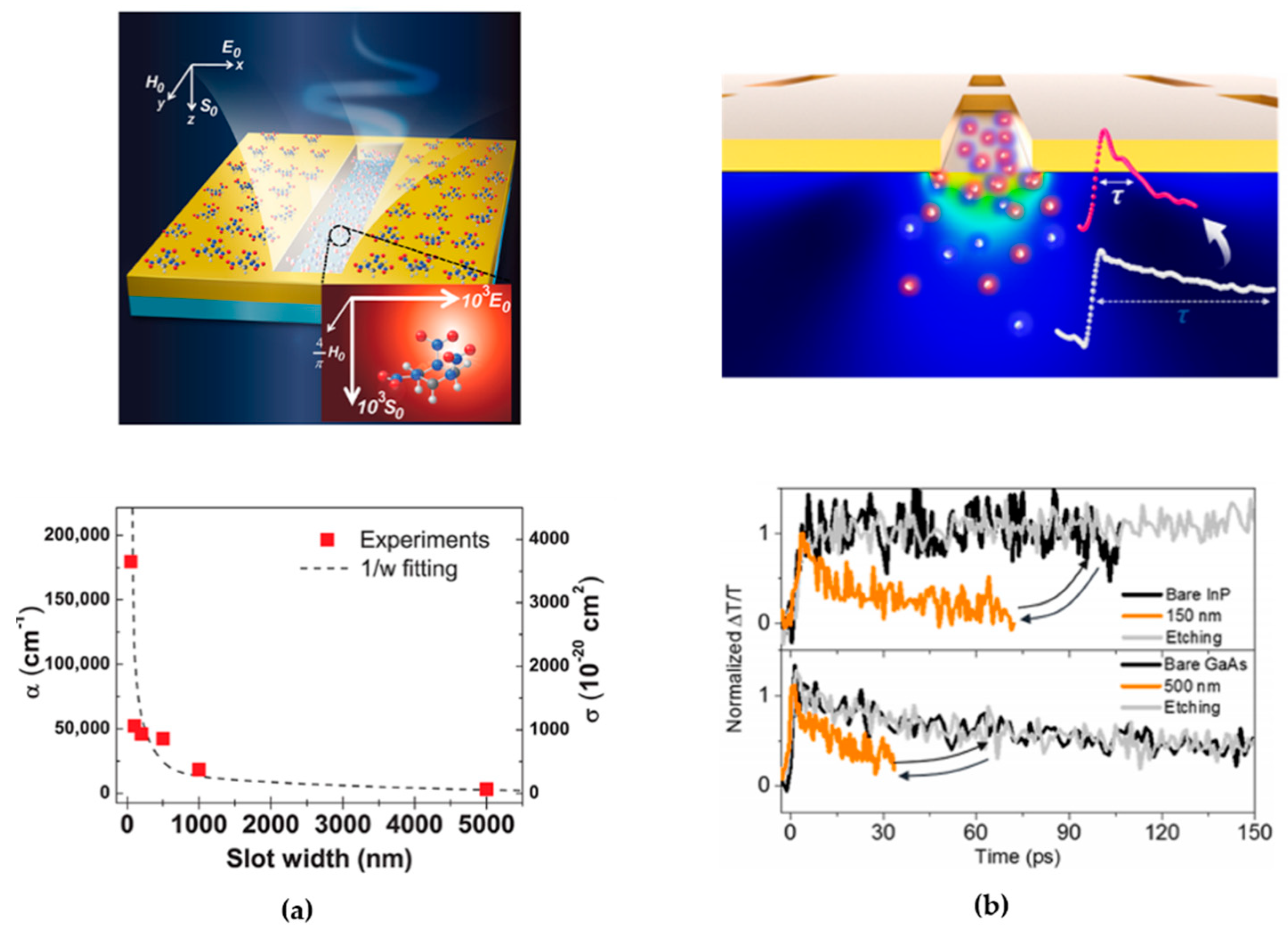 Photonics 06 00022 g006