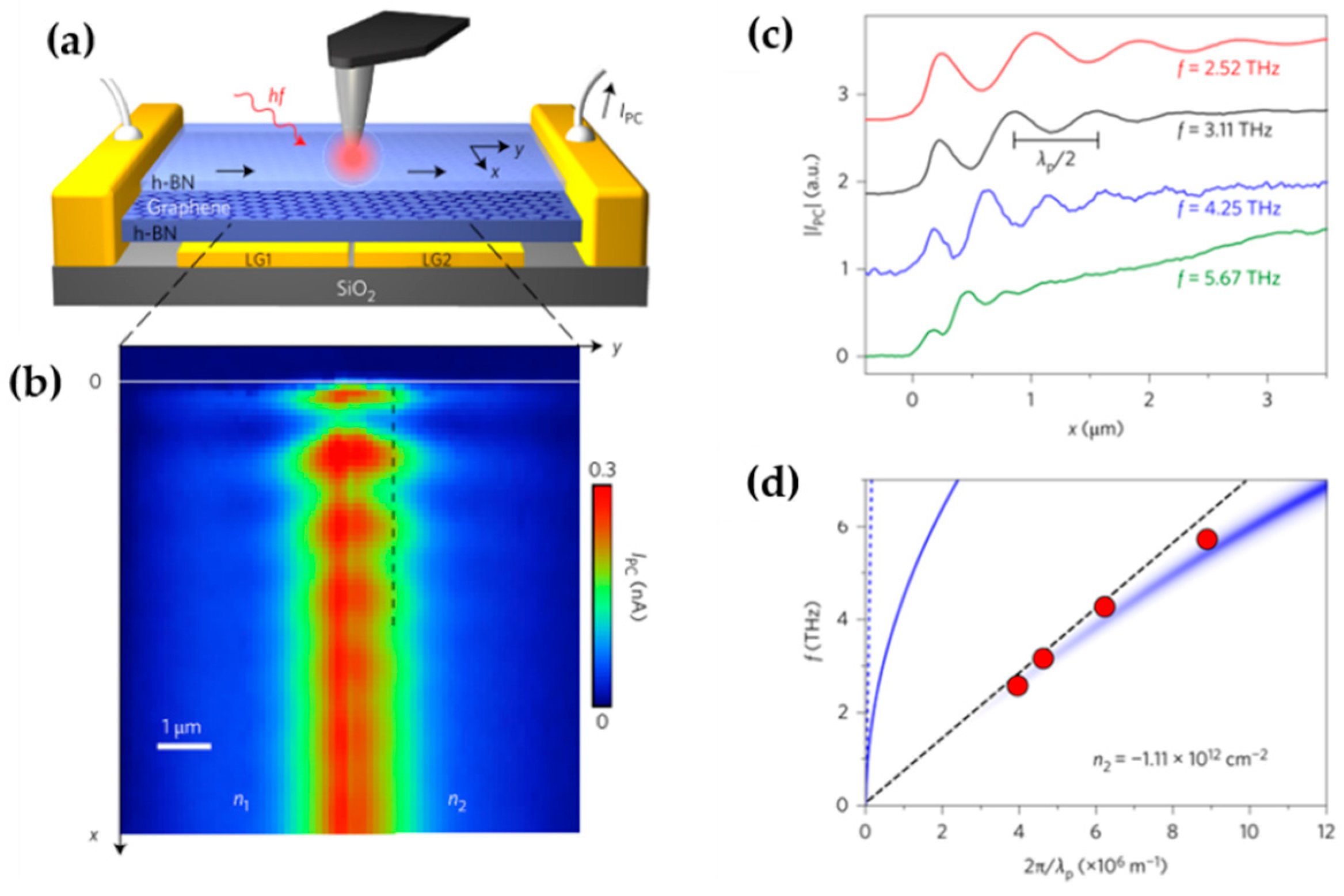 Photonics 06 00022 g010
