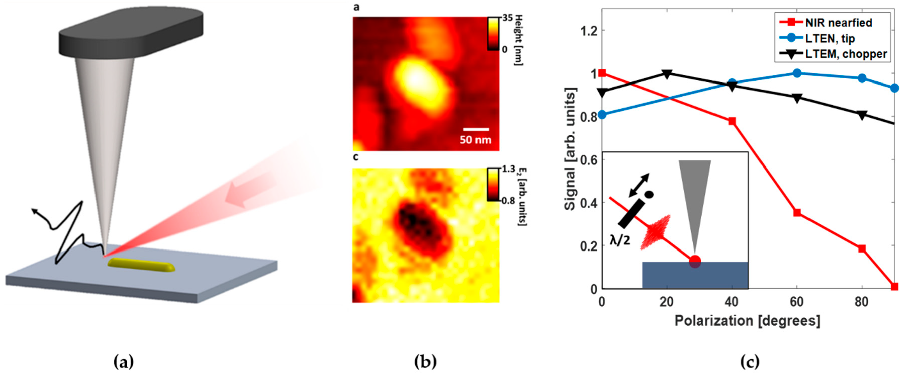 Photonics 06 00022 g011