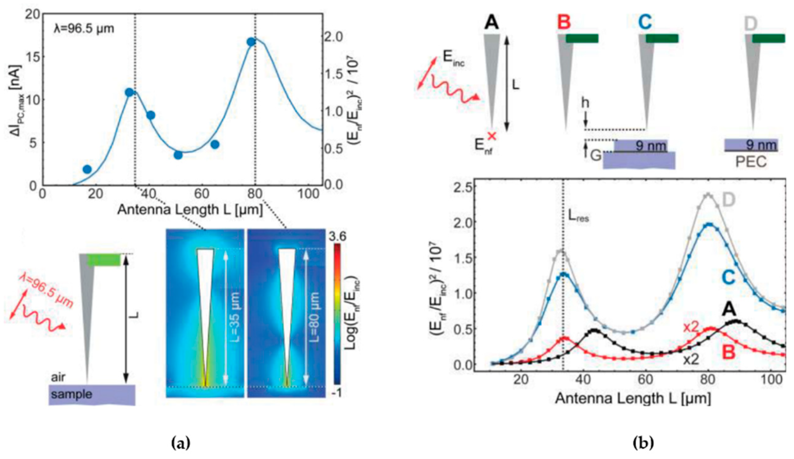 Photonics 06 00022 g012